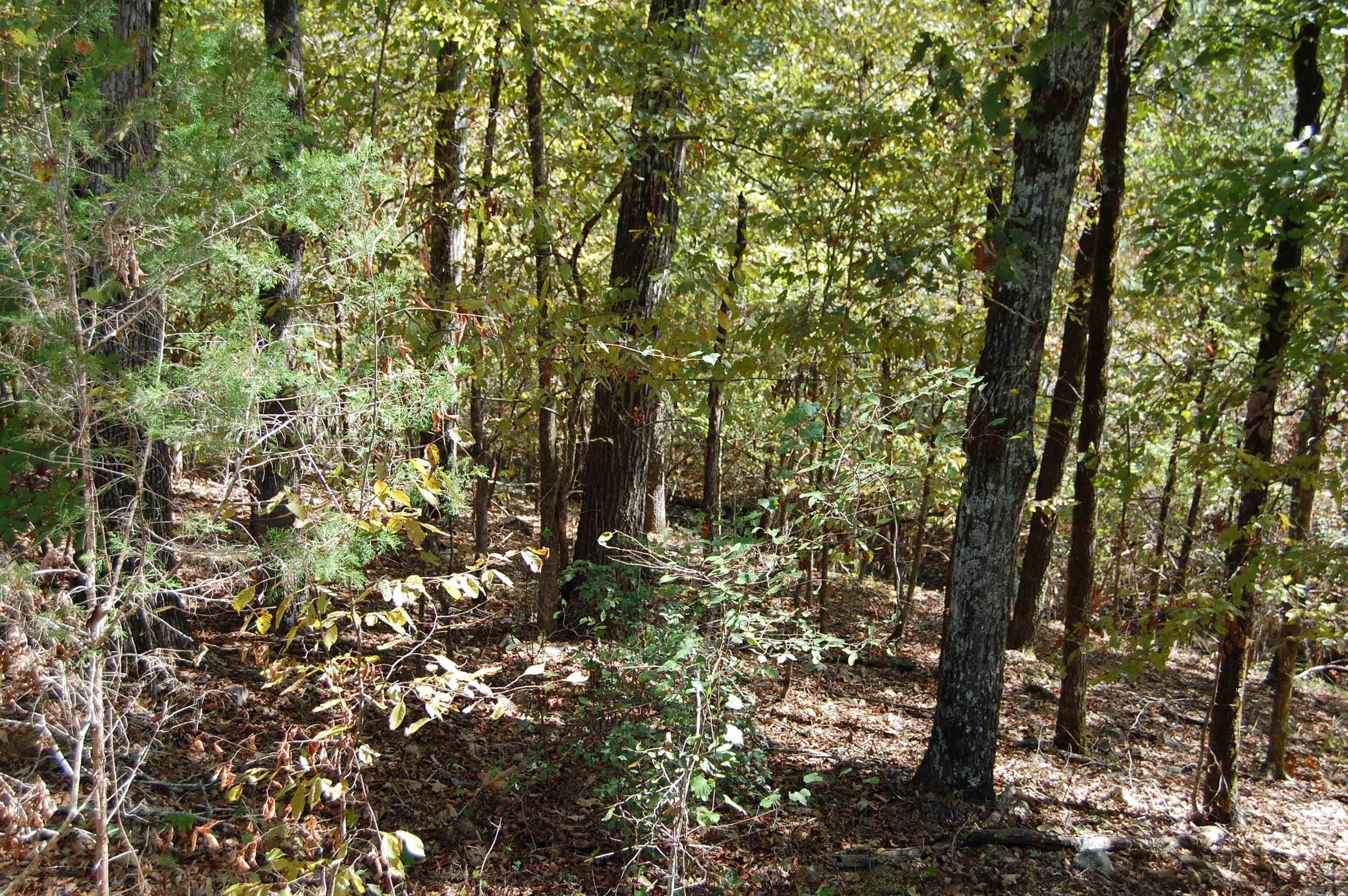 1145 Cedar Creek  Hot Springs, AR