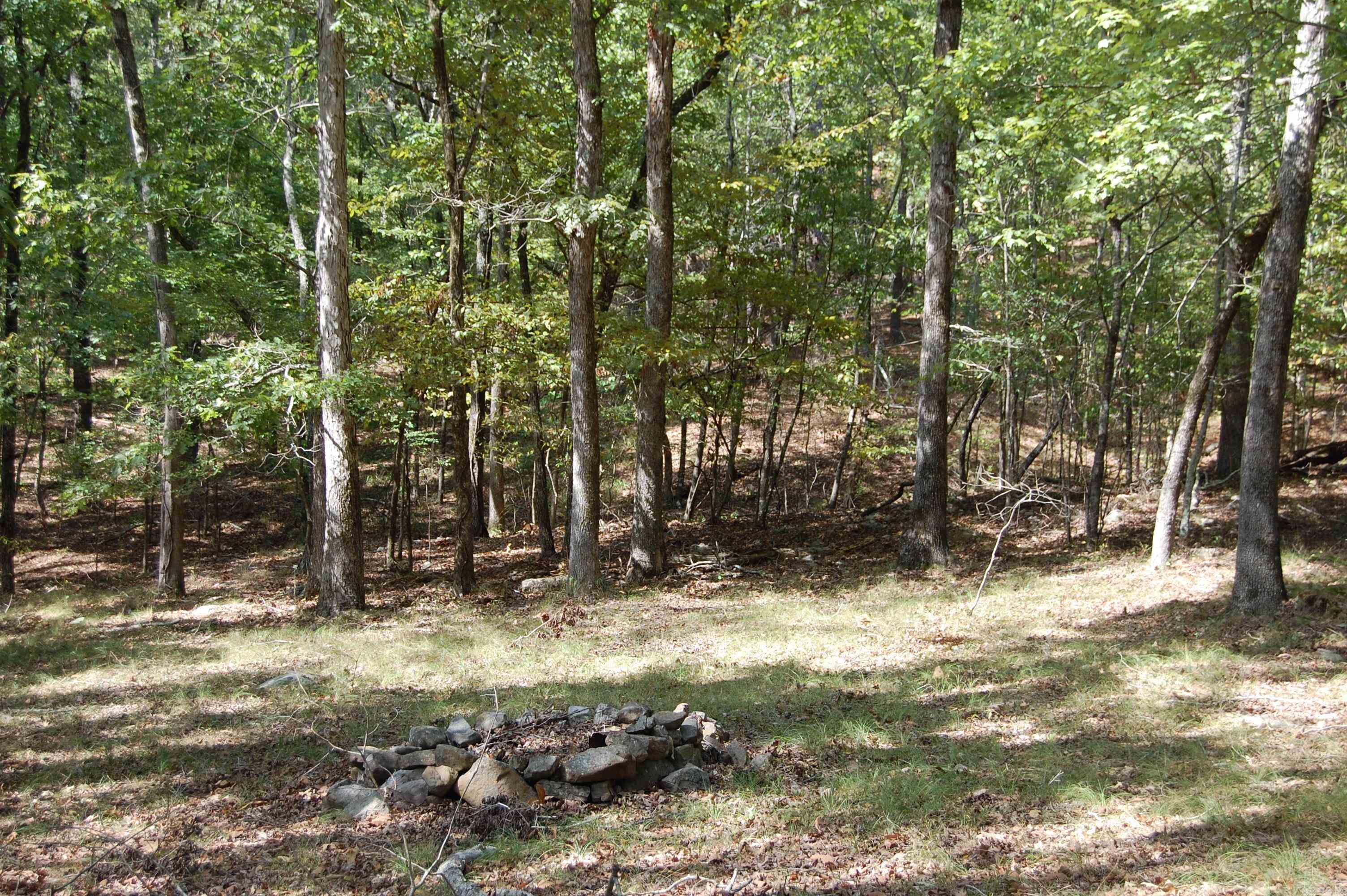 1145 Cedar Creek  Hot Springs, AR