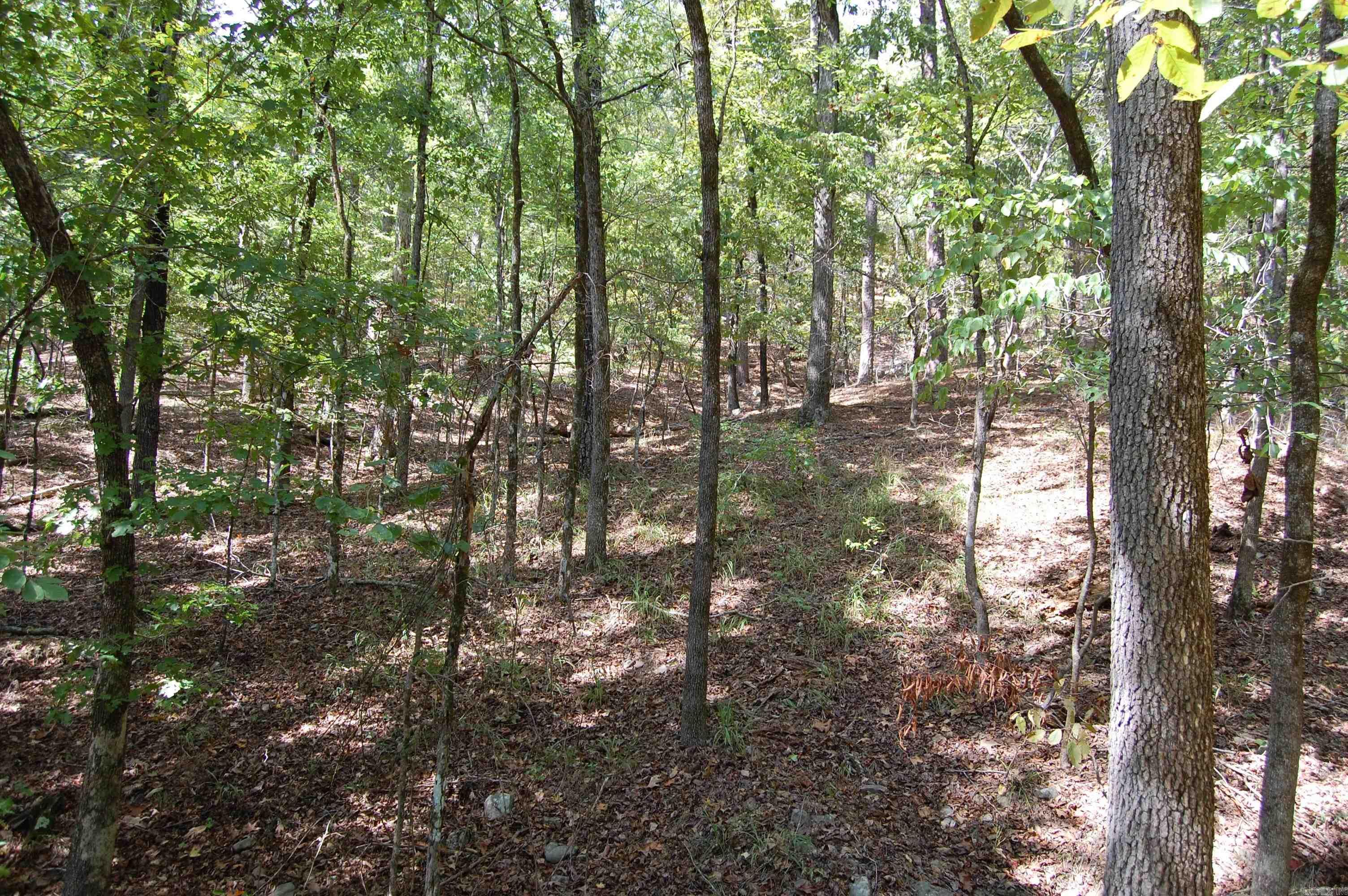 1145 Cedar Creek  Hot Springs, AR