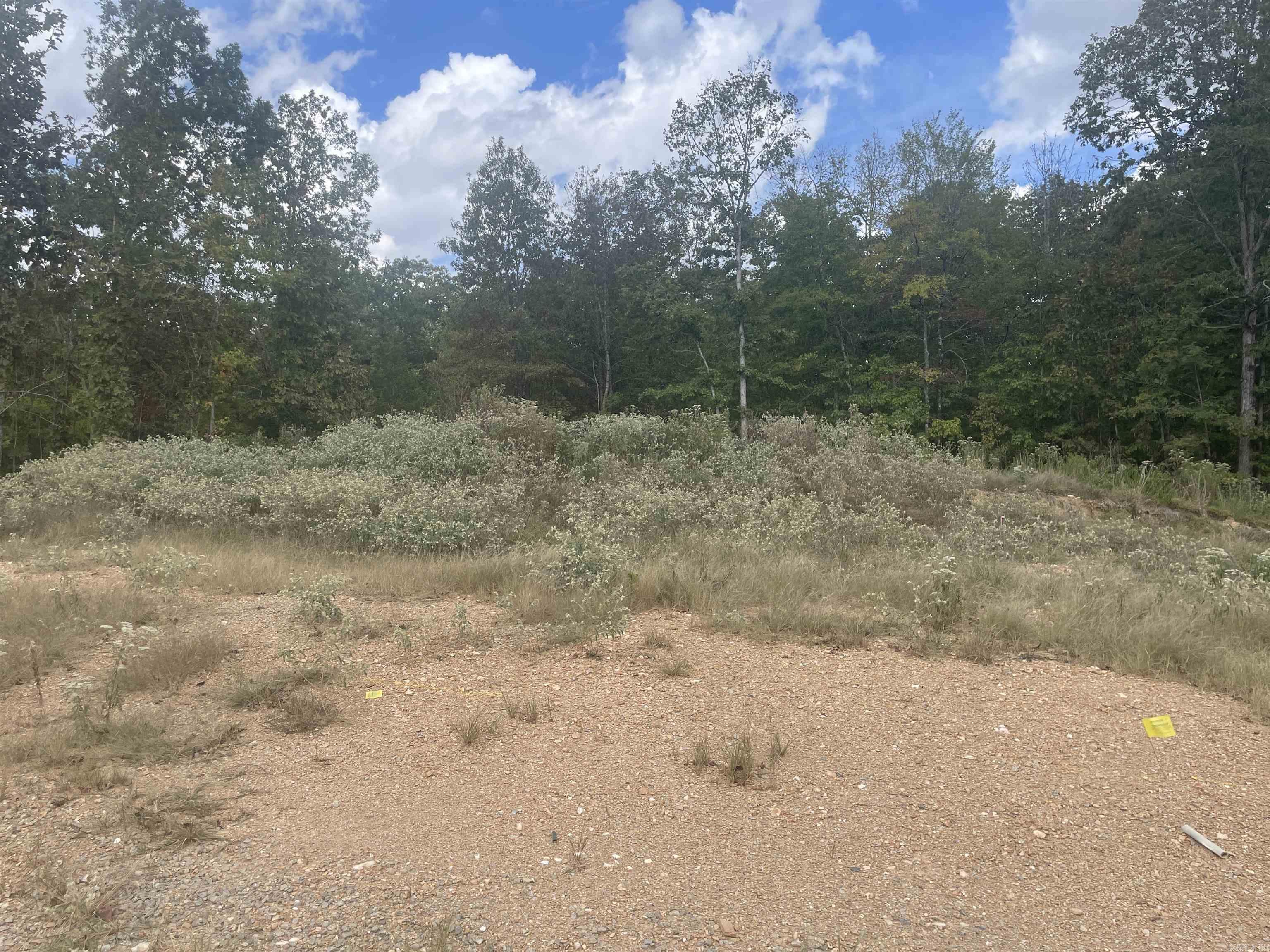 1584 Bighorn — photo 3