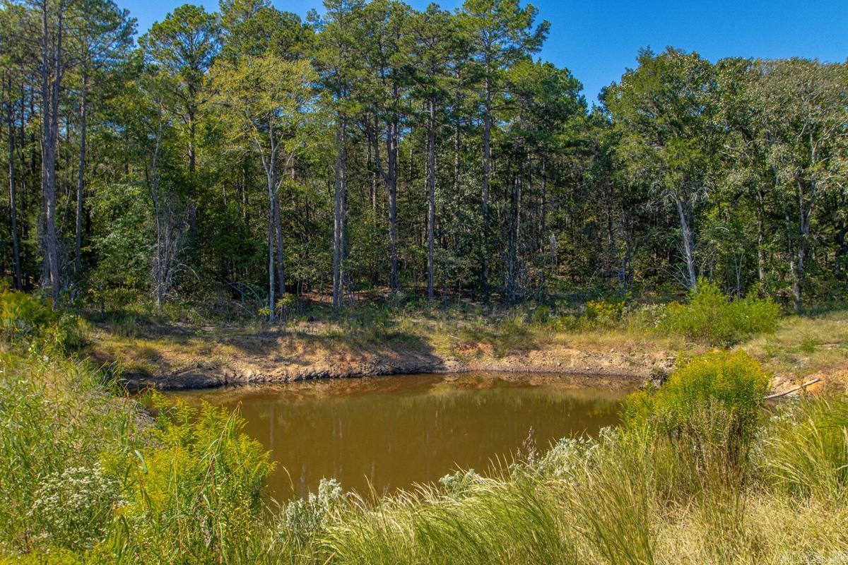 1030 Cadron Settlement Ln  Conway, AR