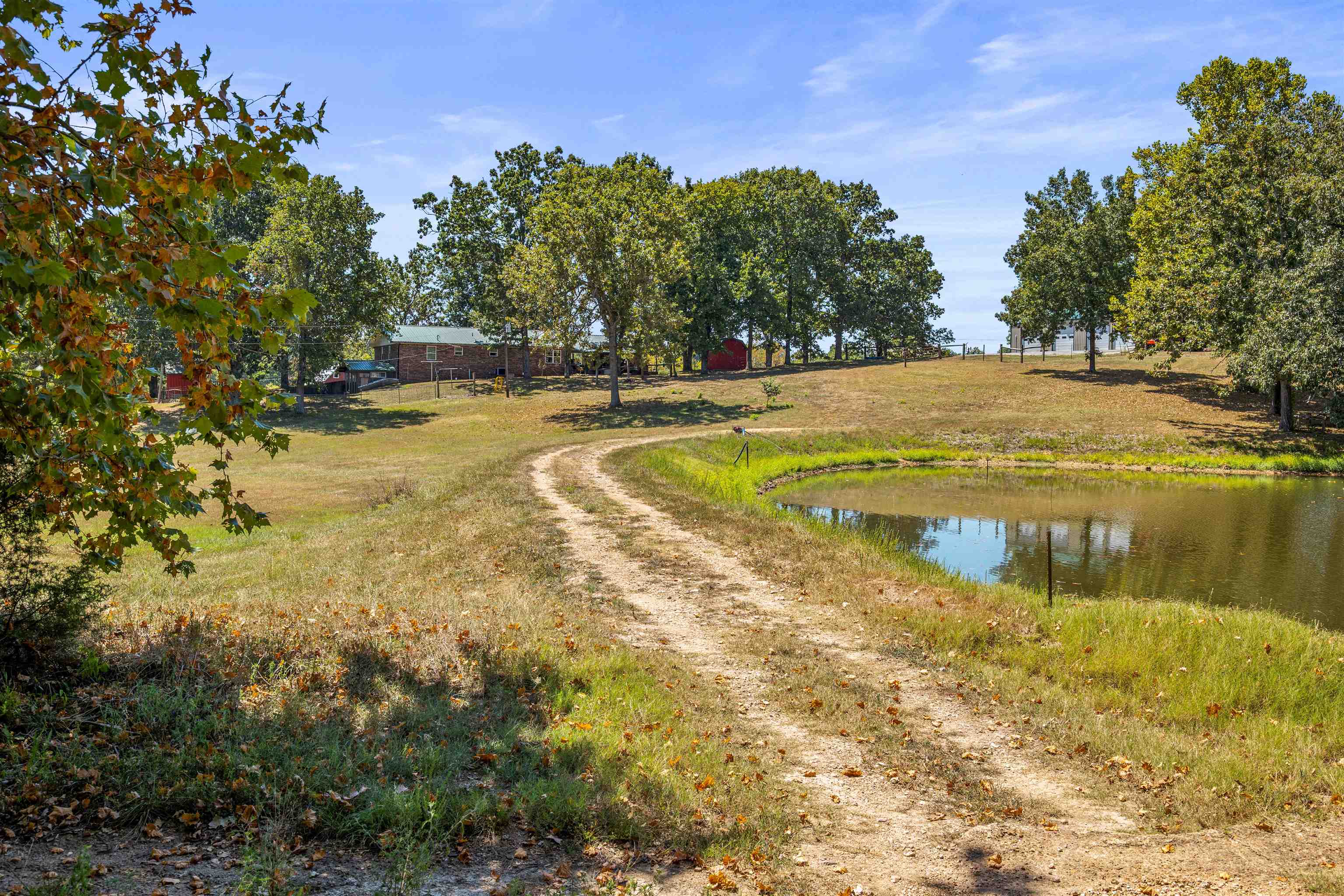 1586 Highway 62/412 East  Salem, AR