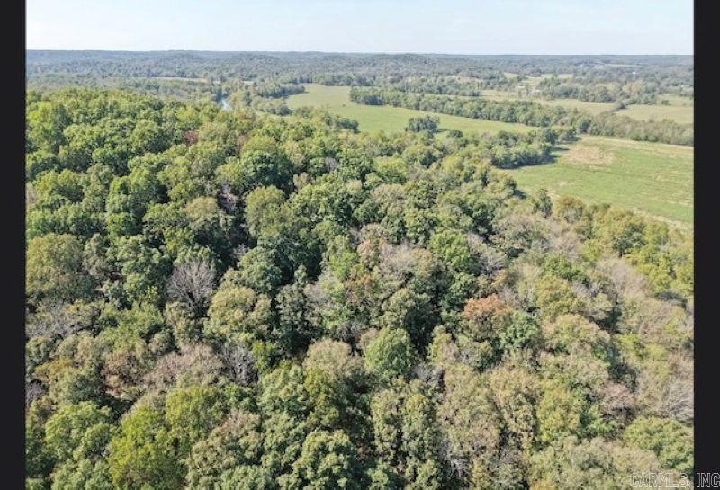 1097 Summitt Road  Pocahontas, AR