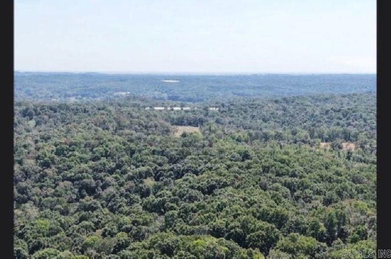 1097 Summitt Road  Pocahontas, AR