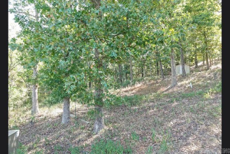 1097 Summitt Road  Pocahontas, AR