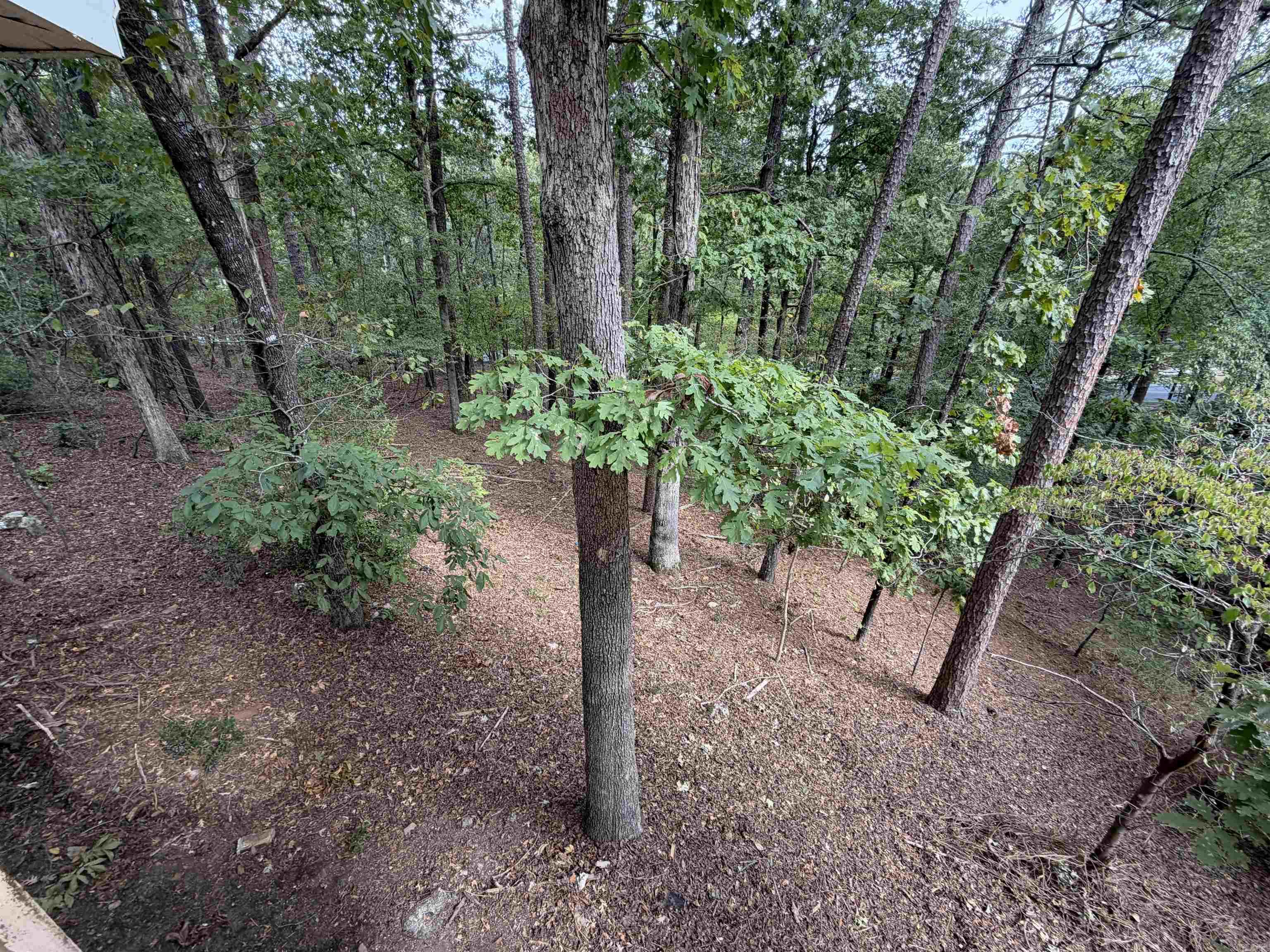 19 Malaga  Hot Springs Village, AR