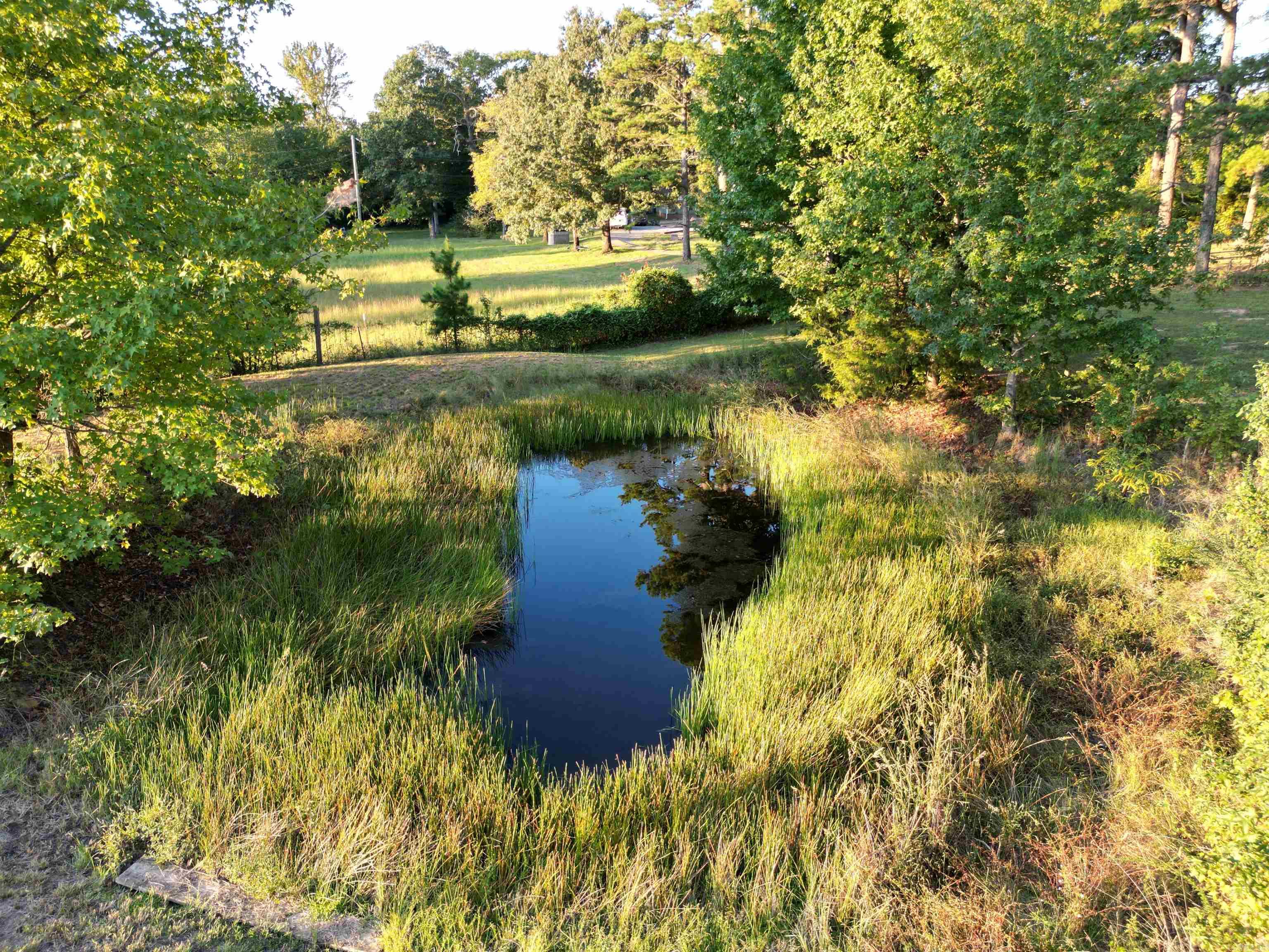 329 Violin Lane  Leslie, AR