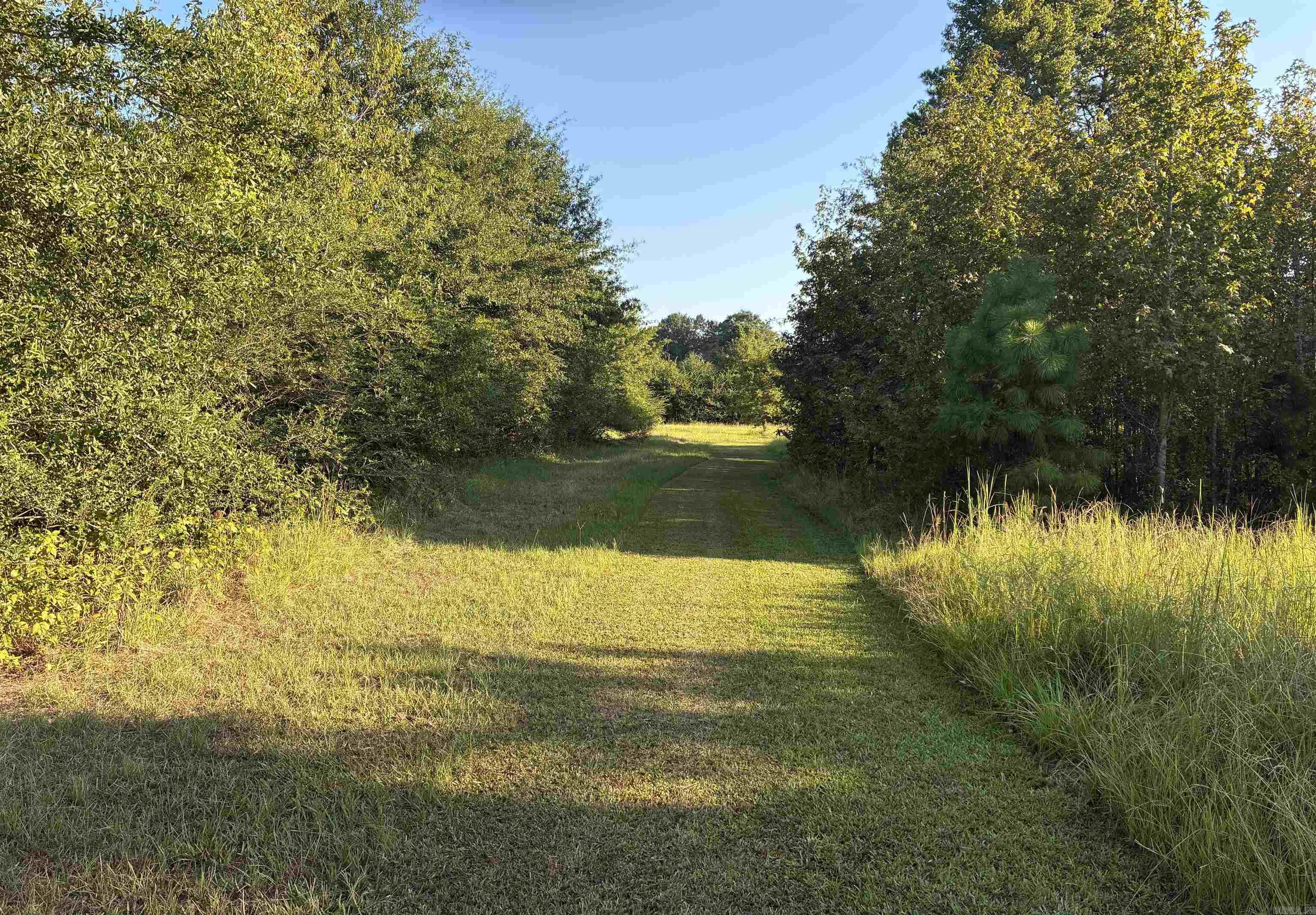 316 Gamble Lane — photo 5