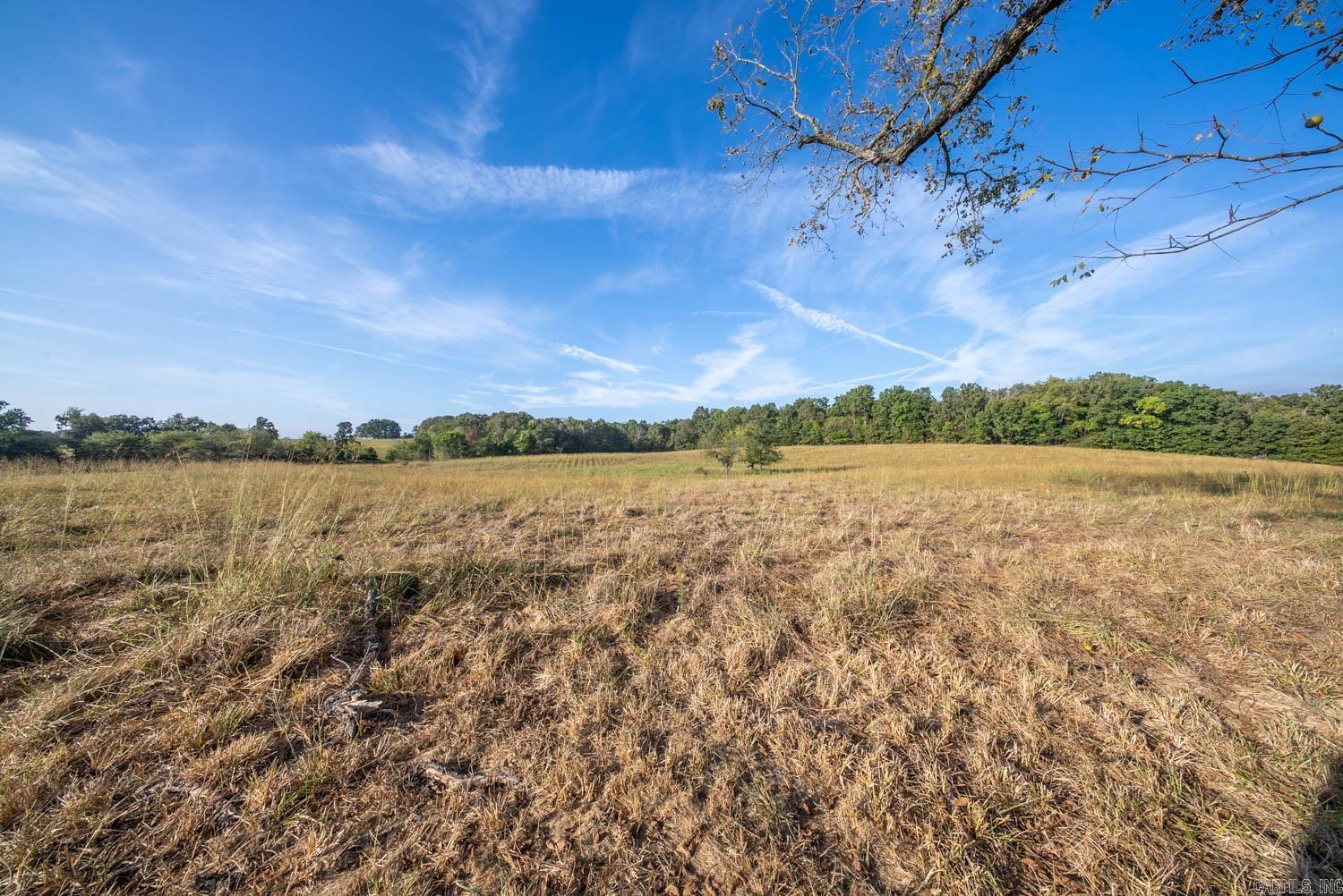 1387 County Road 201  Alton, MO