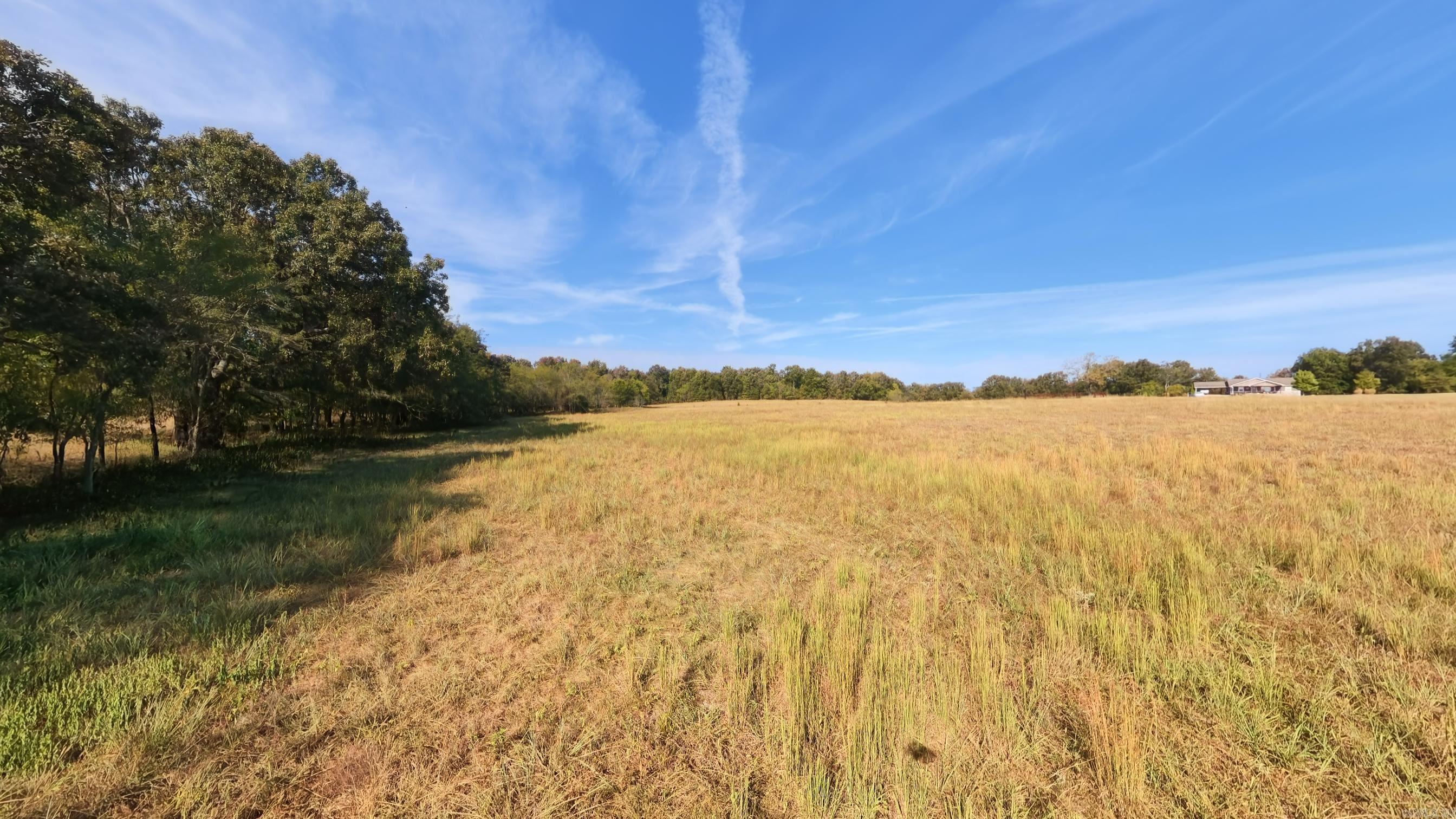 1387 County Road 201  Alton, MO