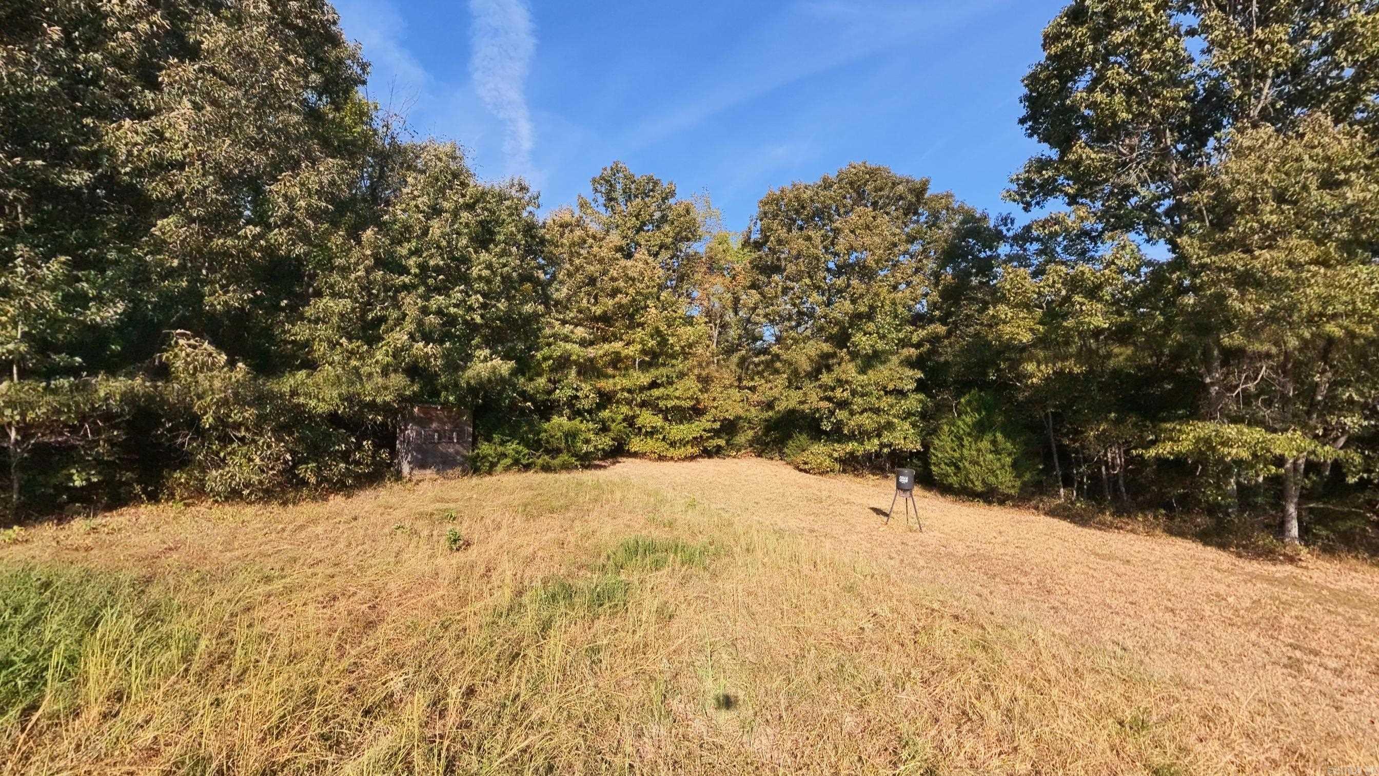 1387 County Road 201  Alton, MO
