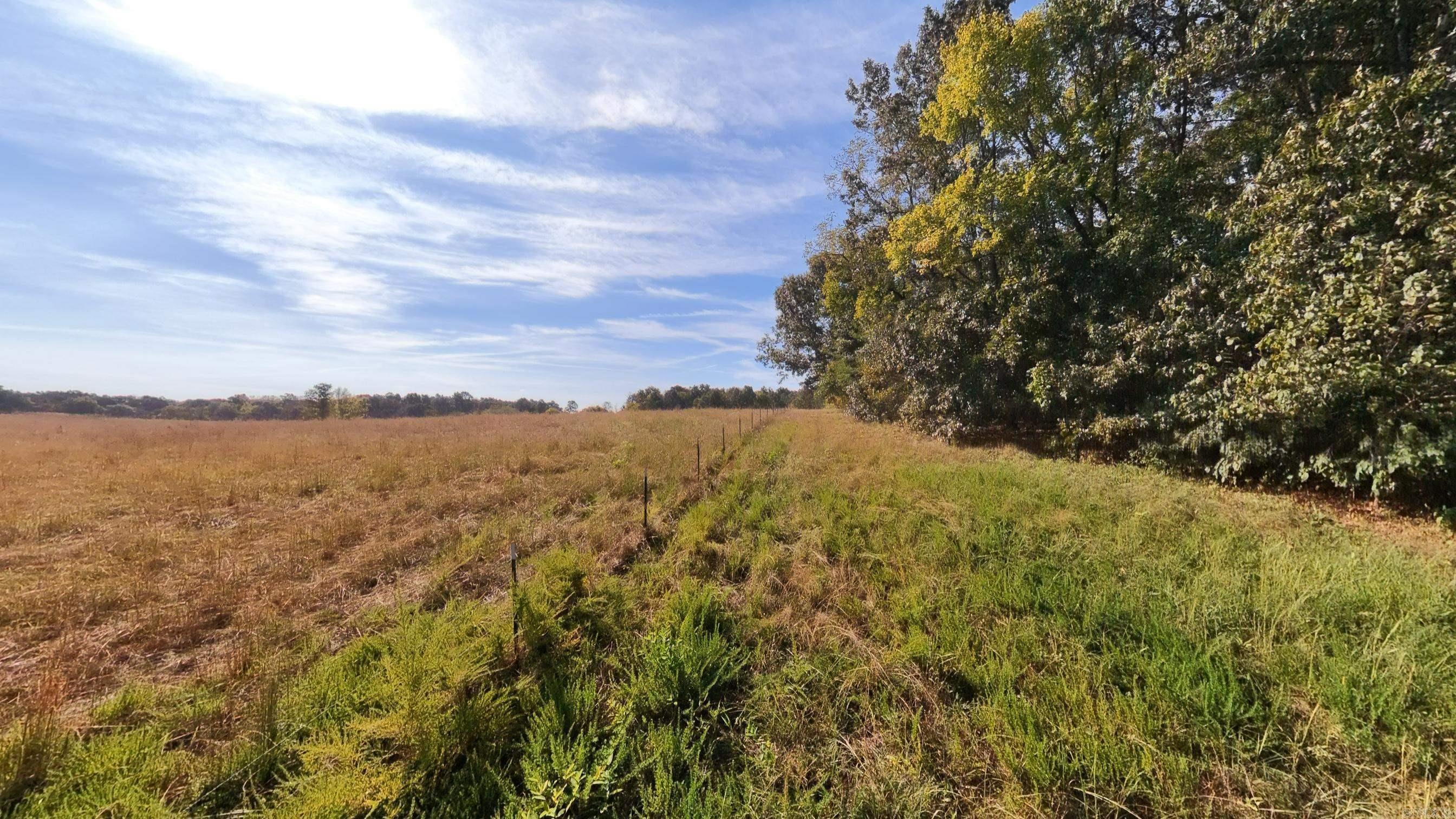 1387 County Road 201  Alton, MO