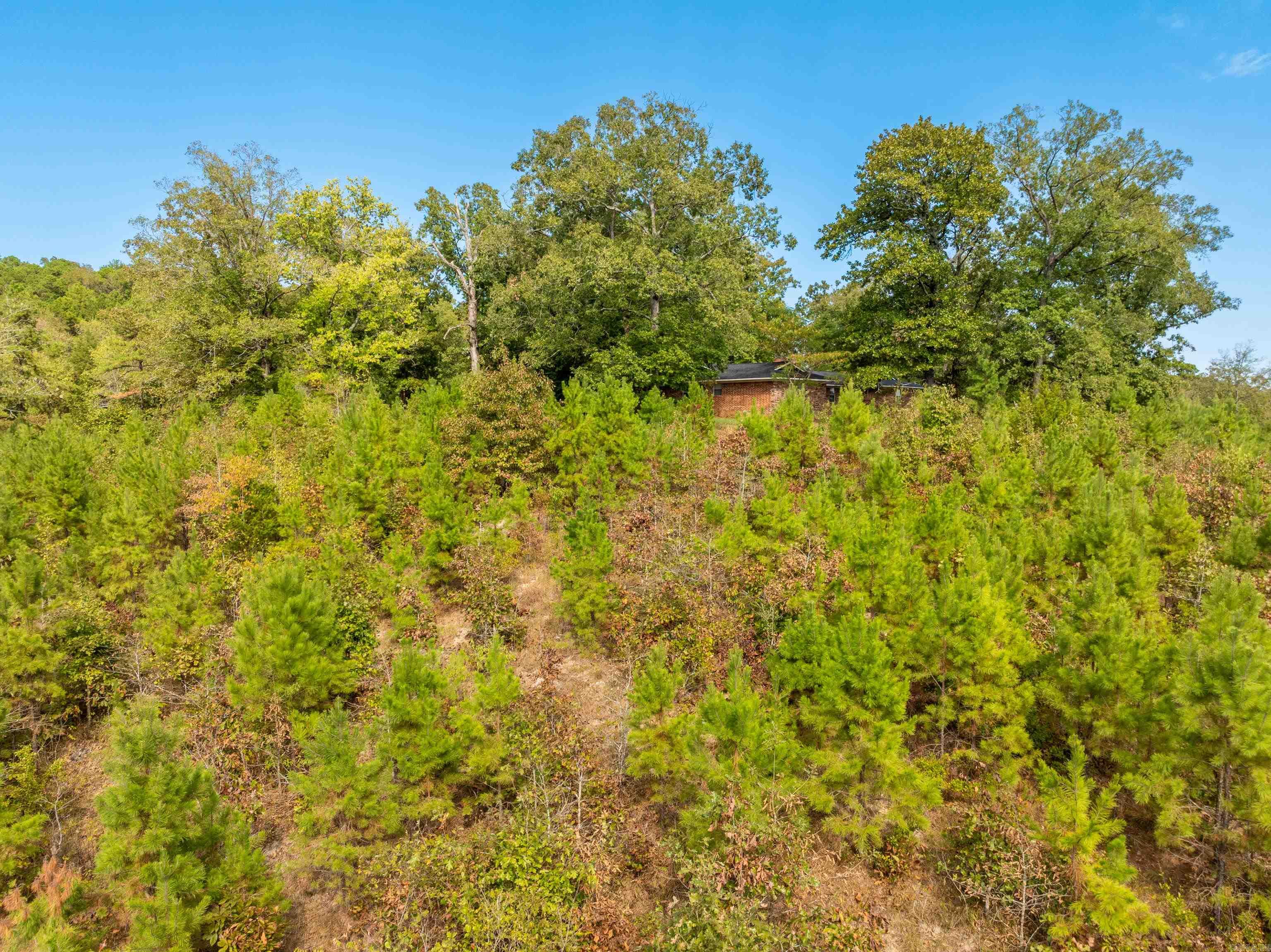 2164 Old Bear  Royal, AR