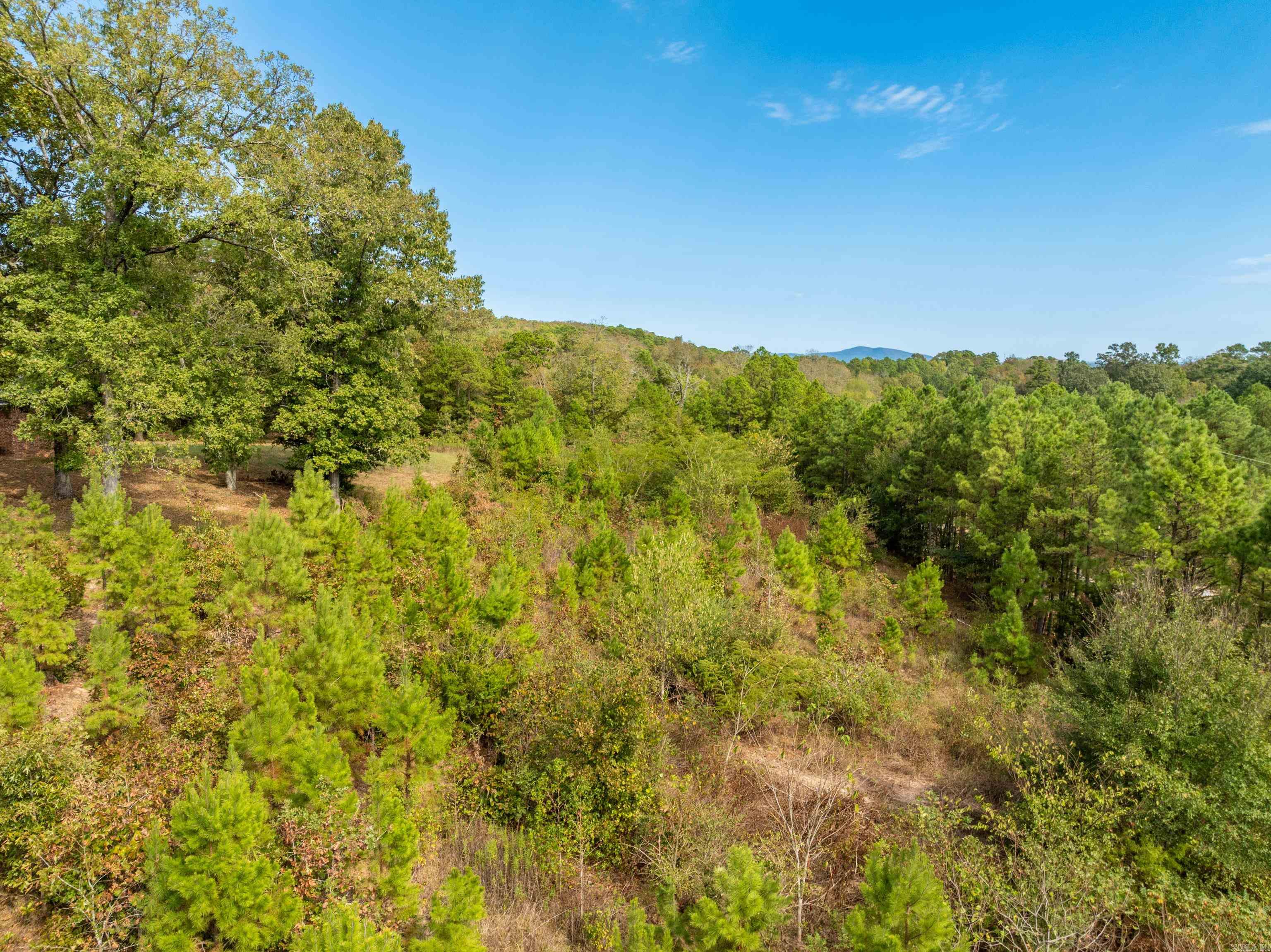 2164 Old Bear  Royal, AR