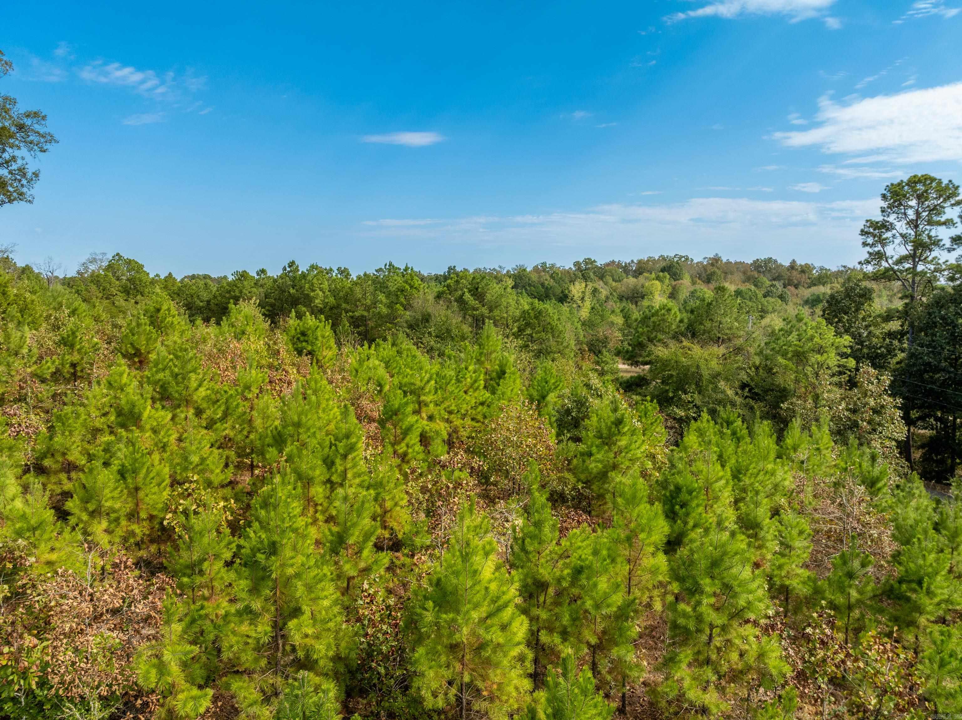 2164 Old Bear  Royal, AR