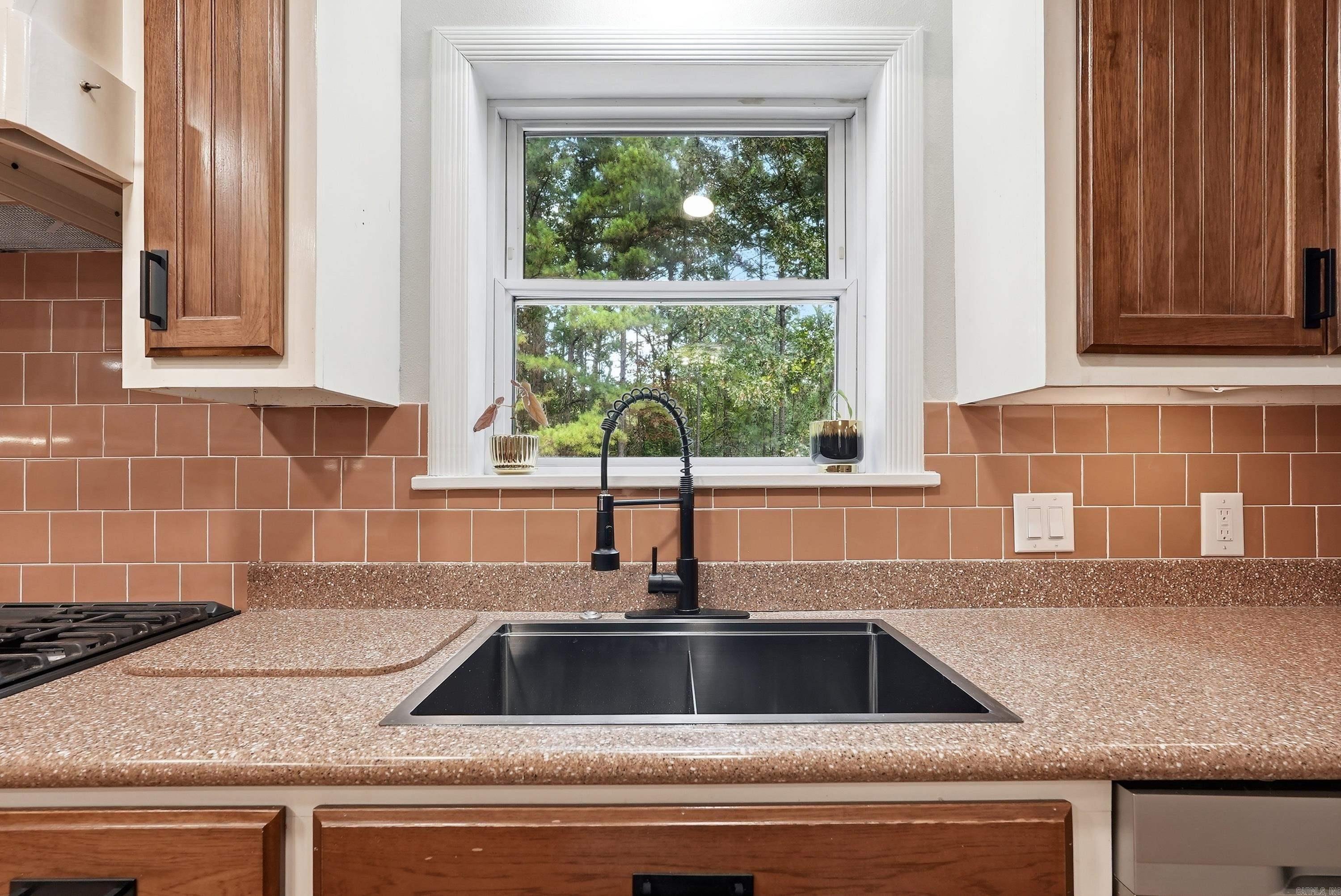 224 Longview Point  Hot Springs, AR