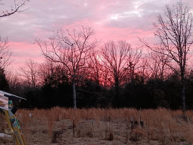 XX Marquette  Ash Flat, AR