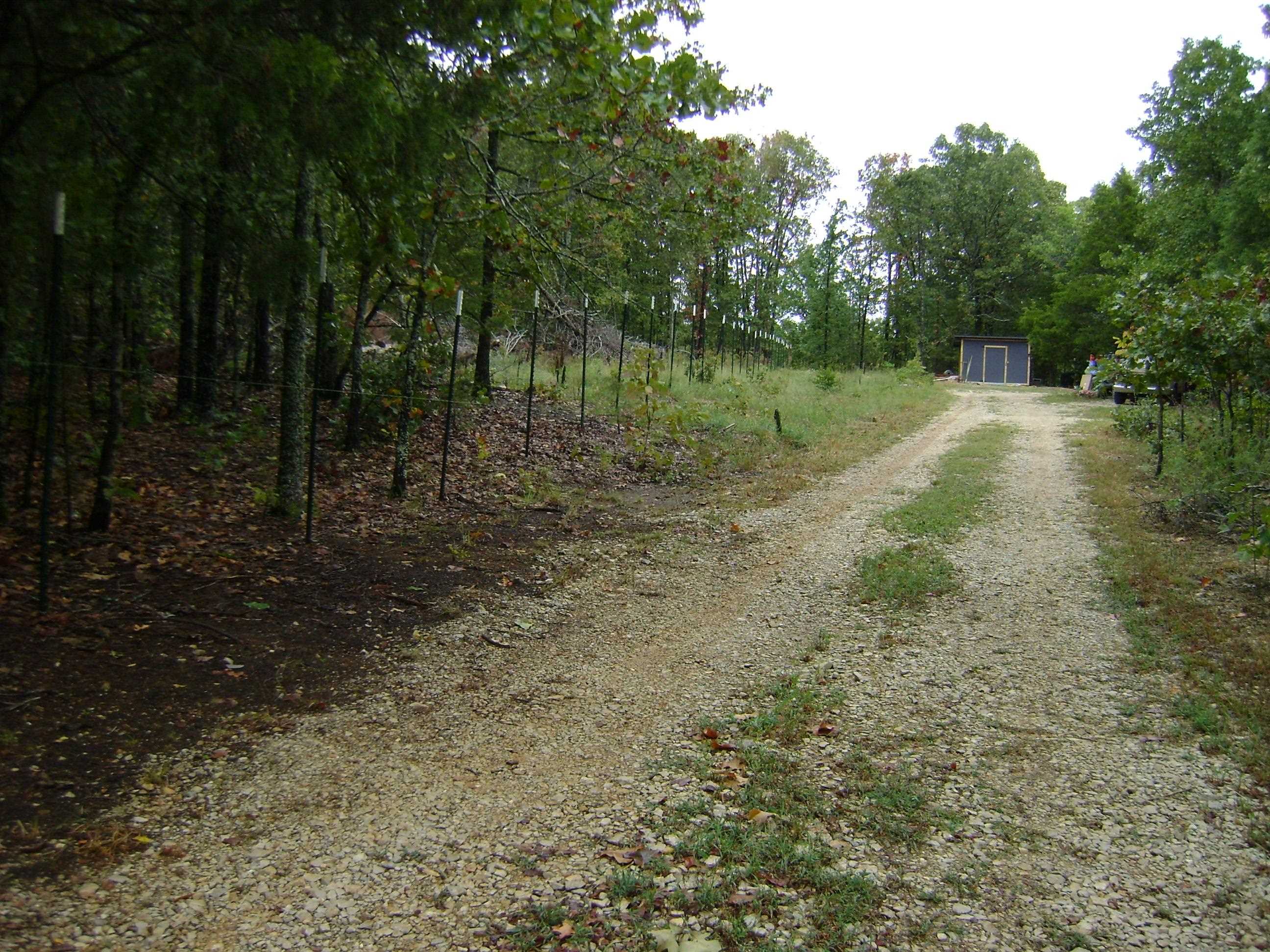 XX Marquette  Ash Flat, AR