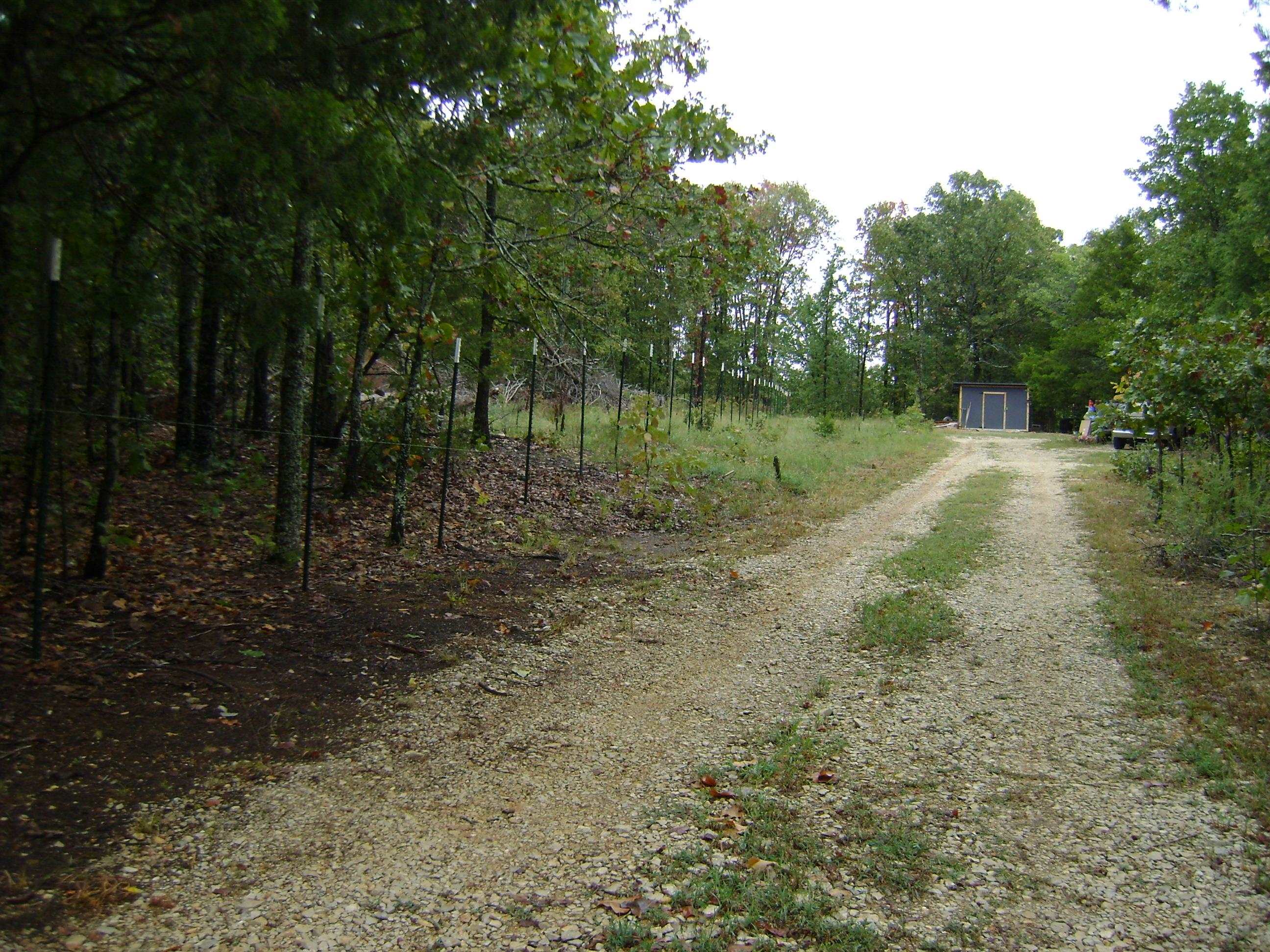 XX Marquette  Ash Flat, AR