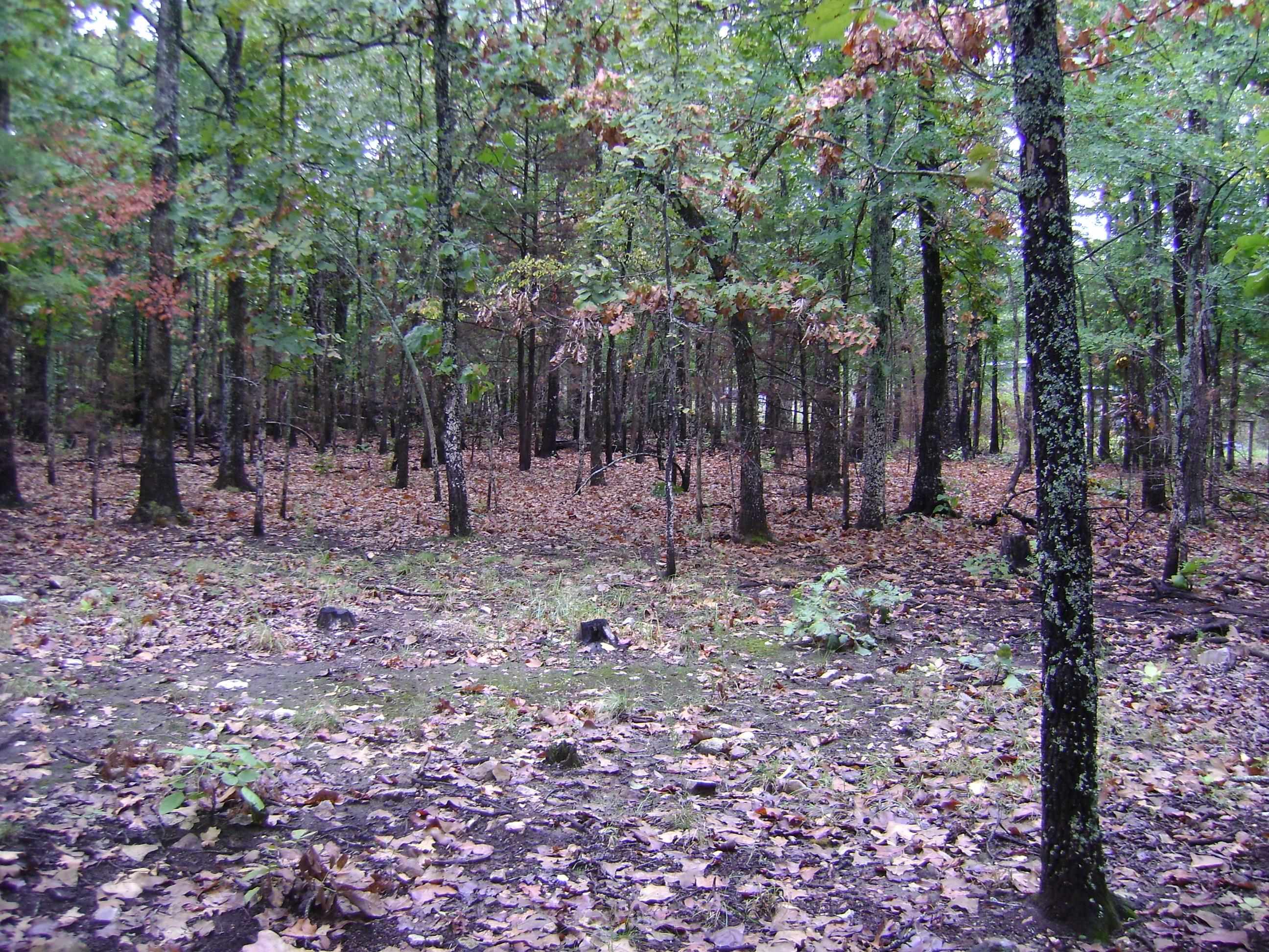 XX Marquette  Ash Flat, AR