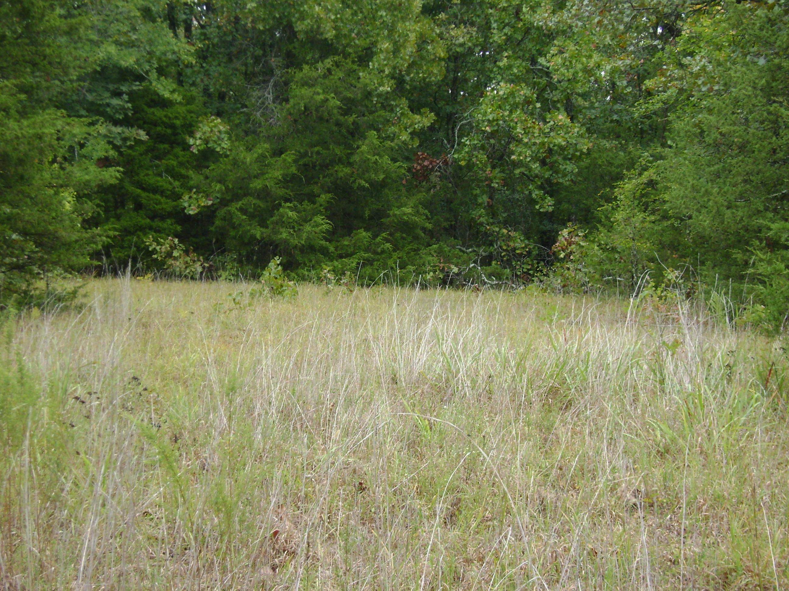 XX Marquette  Ash Flat, AR