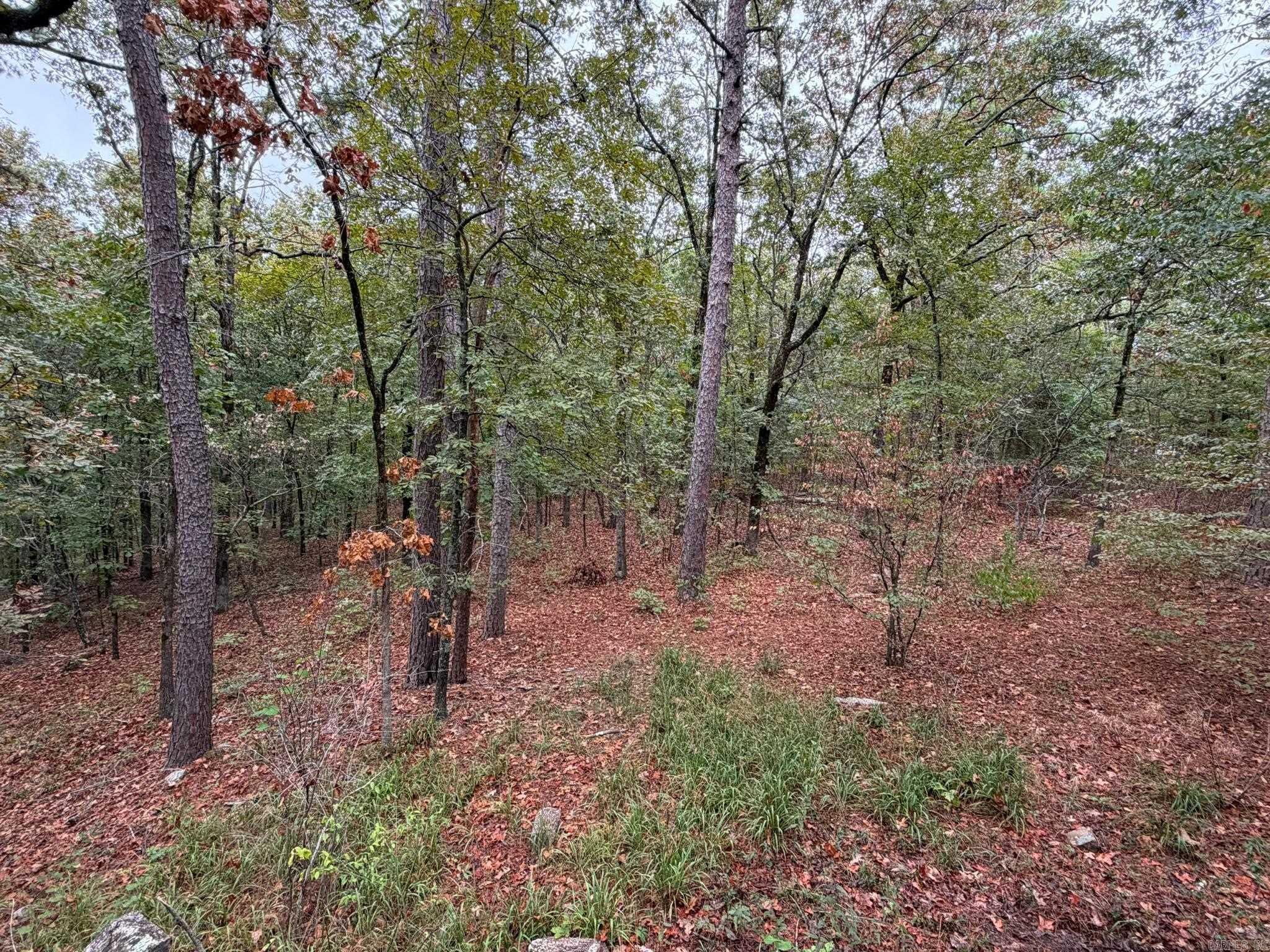 278 Mill Pond  Conway, AR