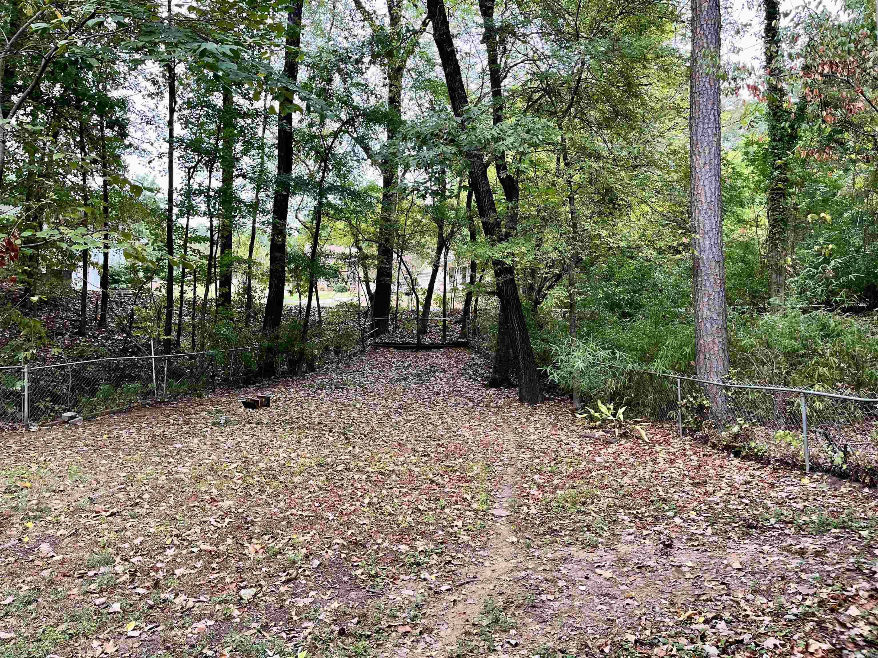 1009 Evergreen  Arkadelphia, AR