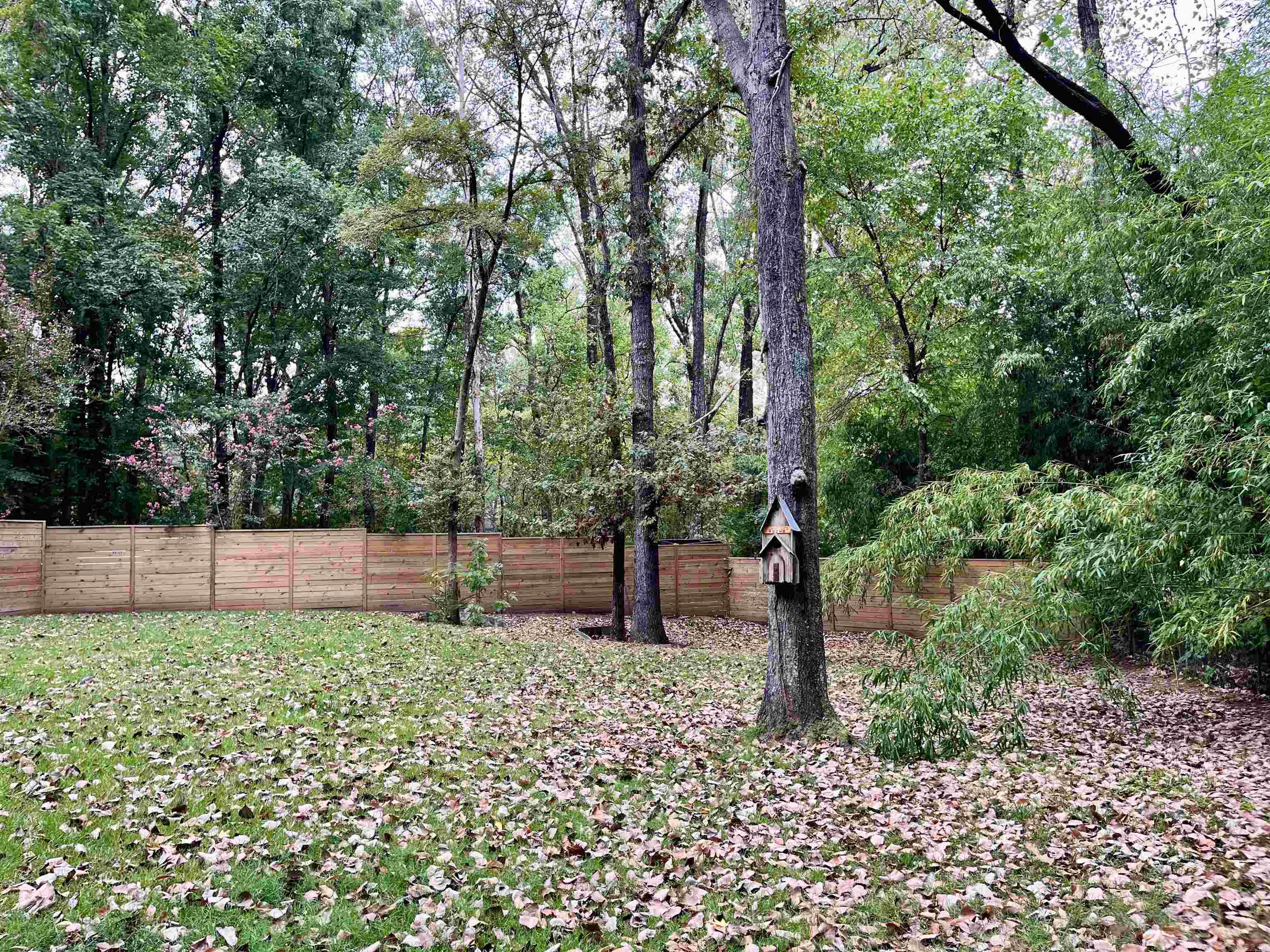 1009 Evergreen  Arkadelphia, AR