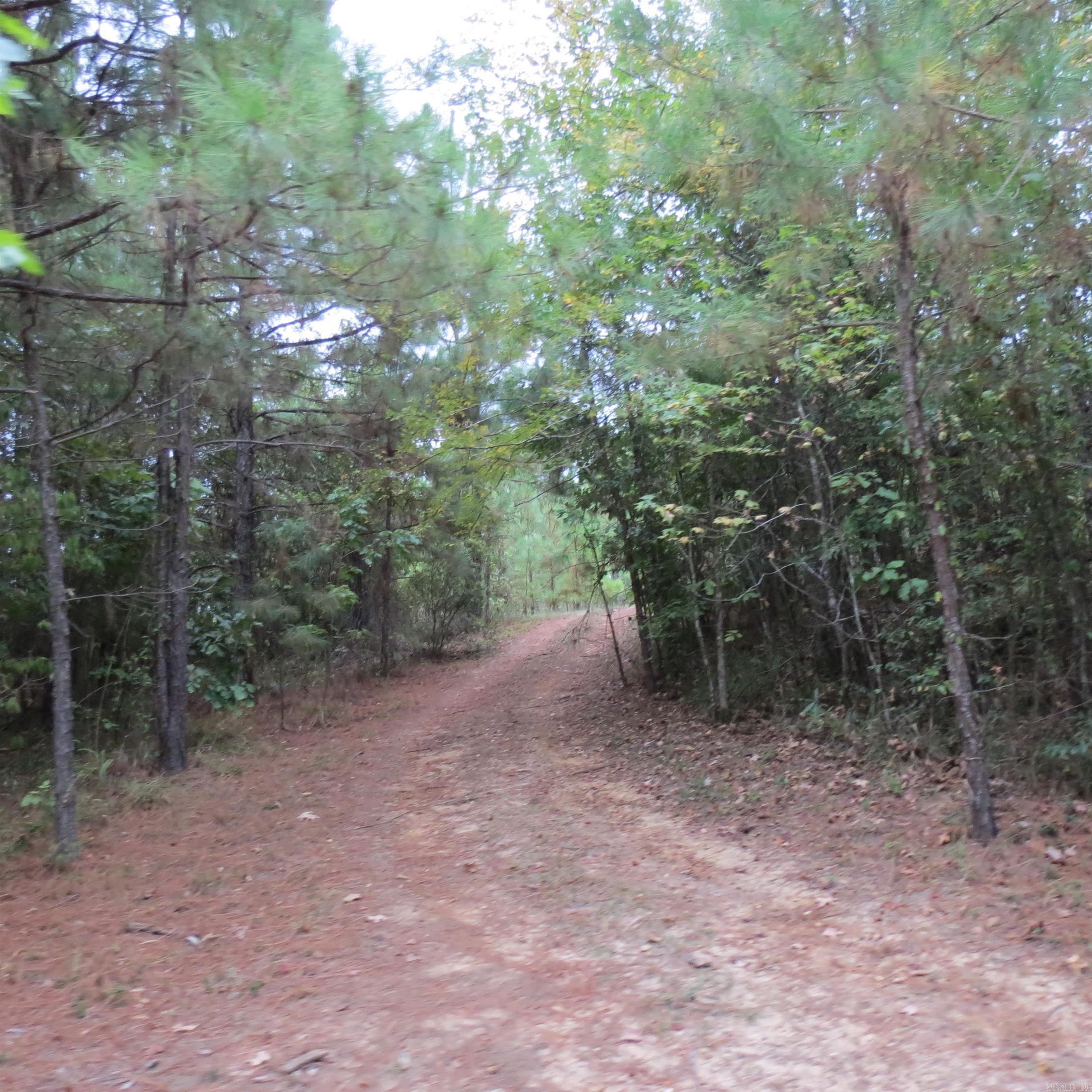 160 Clark  Kingsland, AR
