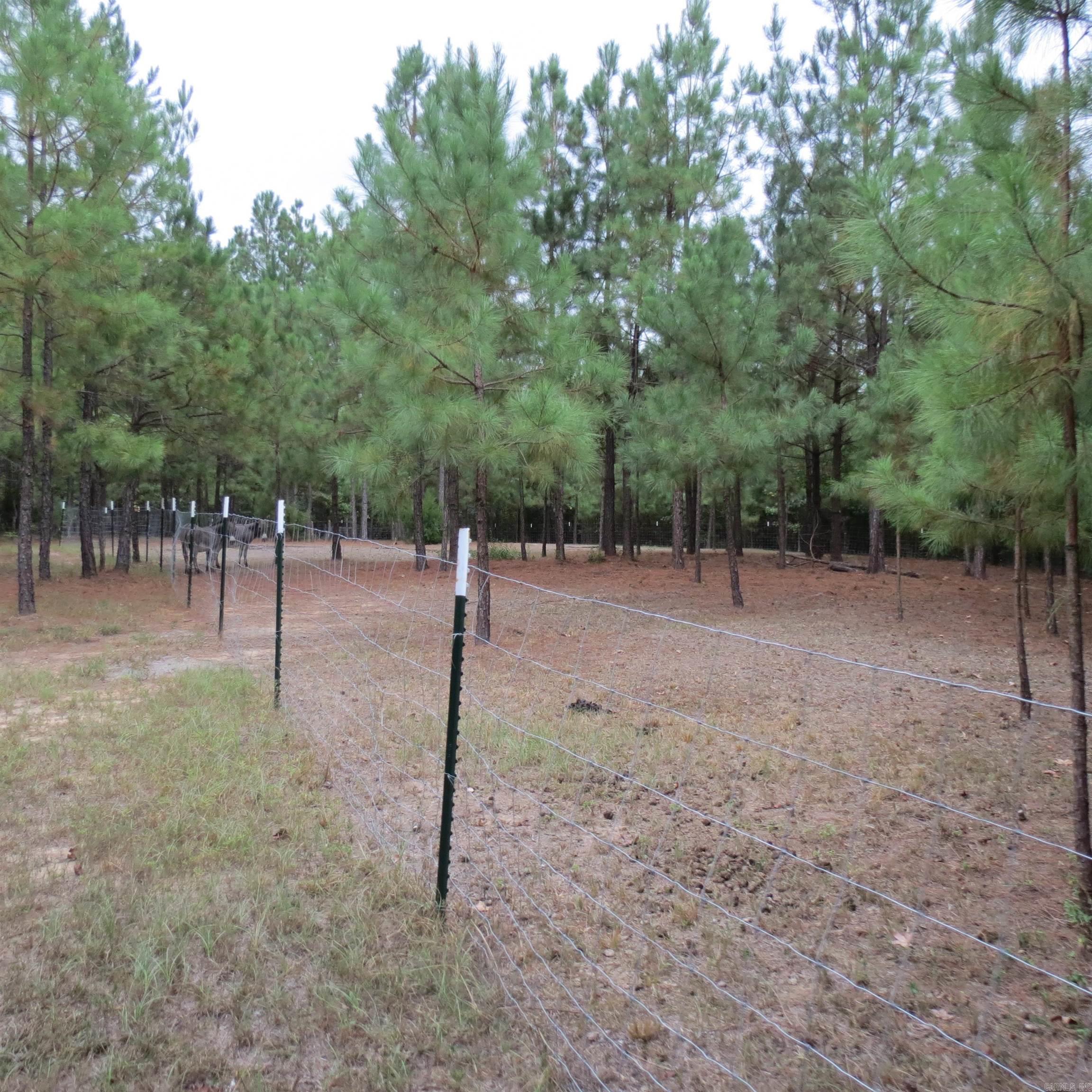 160 Clark  Kingsland, AR