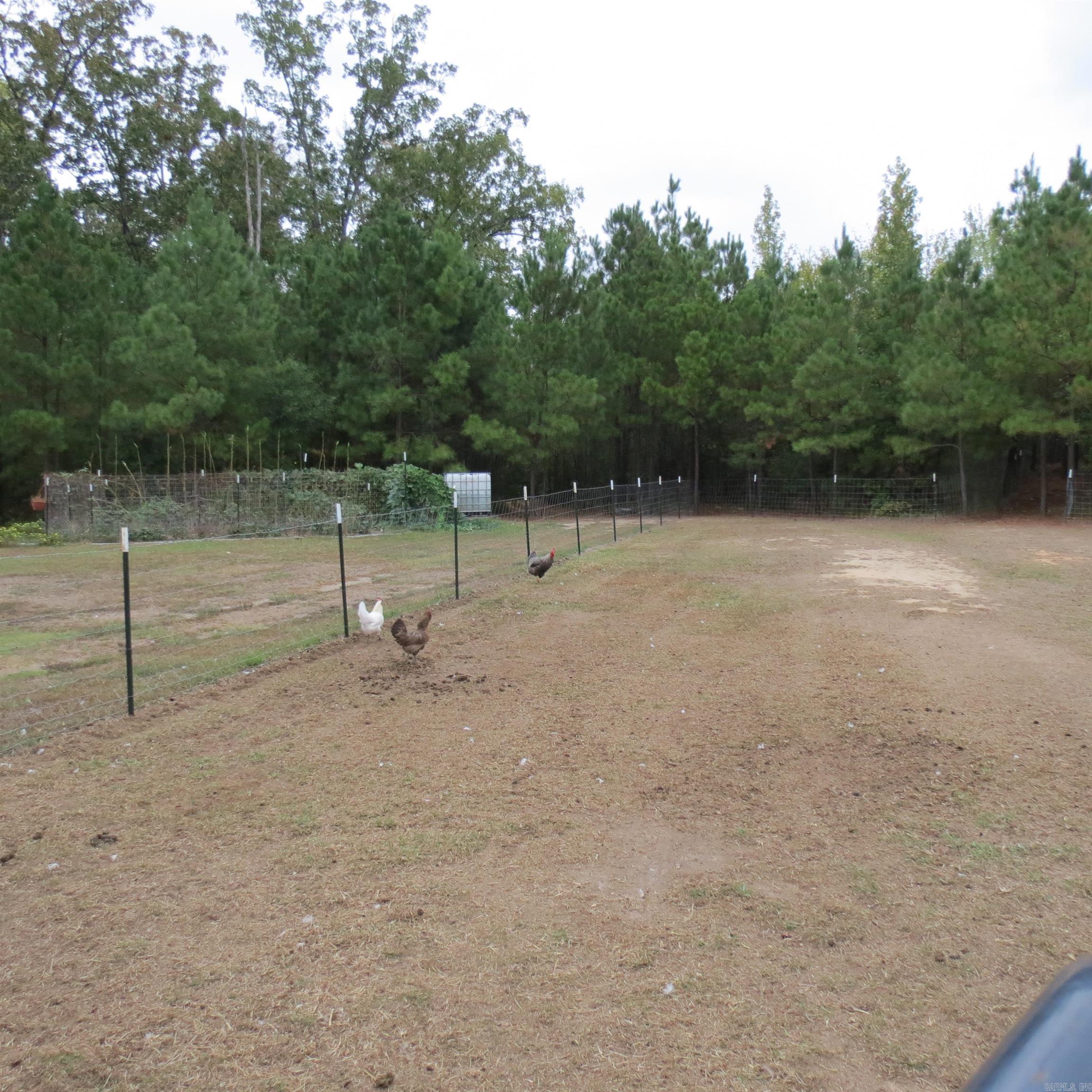 160 Clark  Kingsland, AR