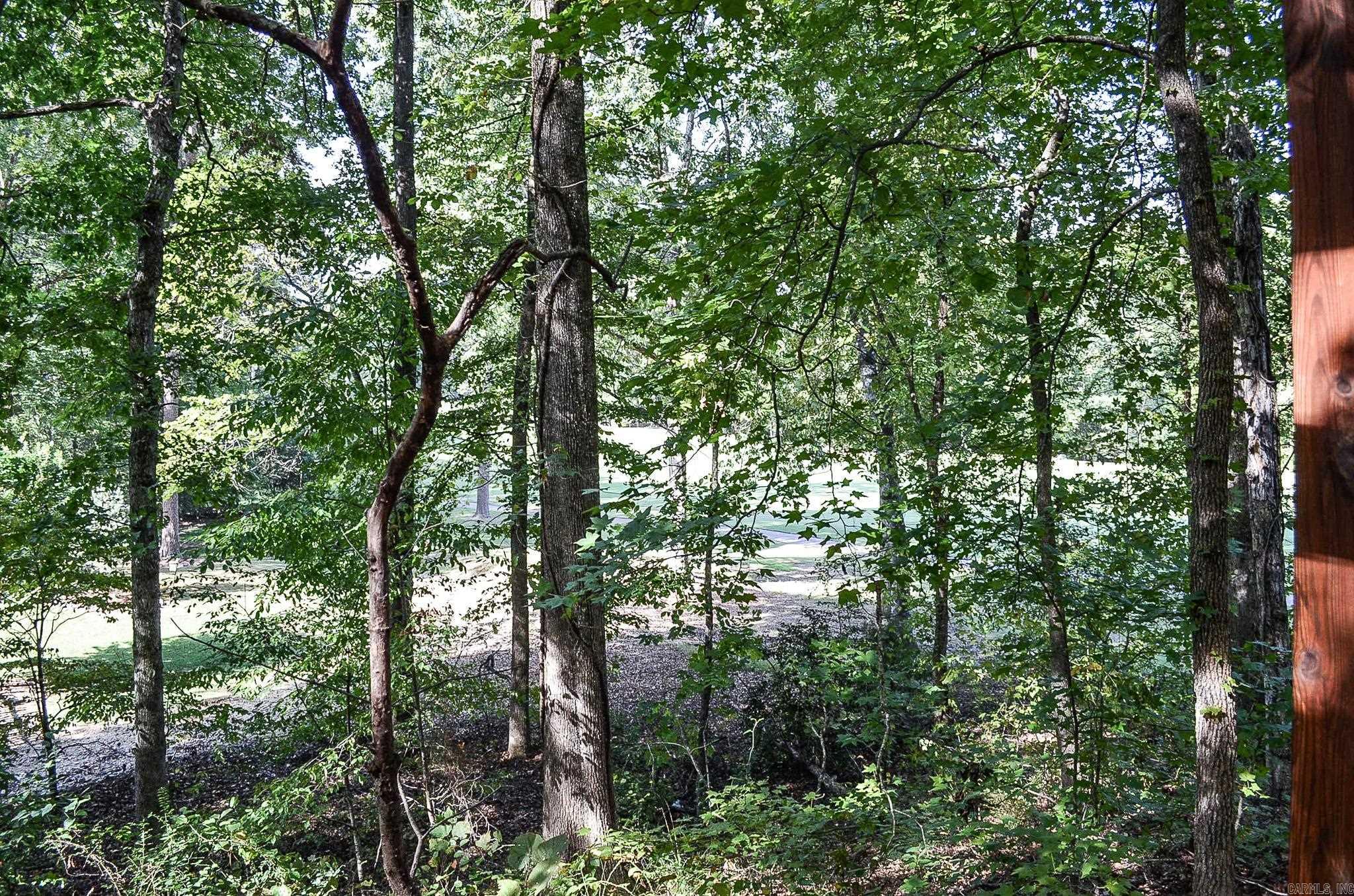 30 Palacio  Hot Springs Village, AR