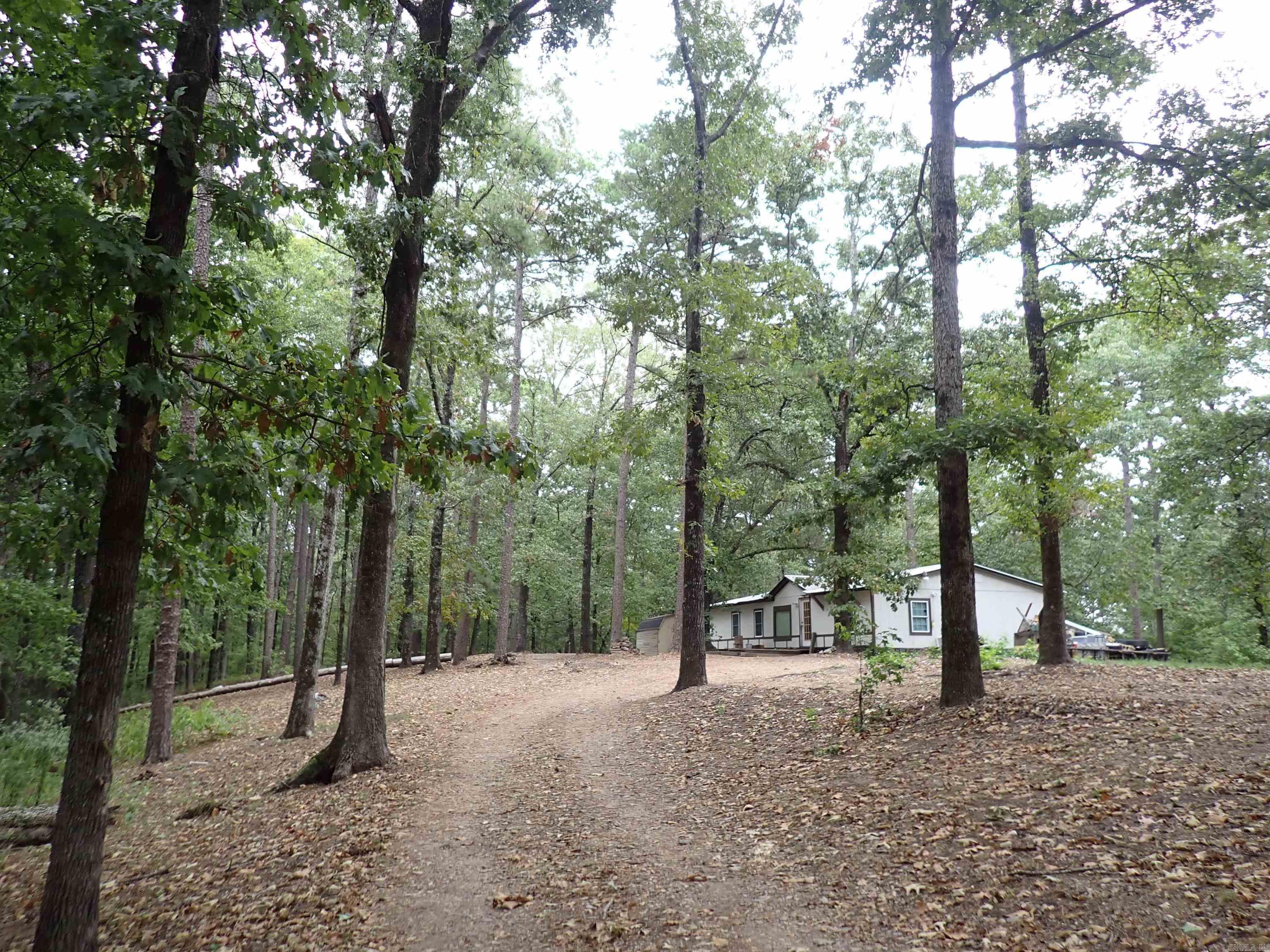 42 Freddie  Caddo Valley, AR