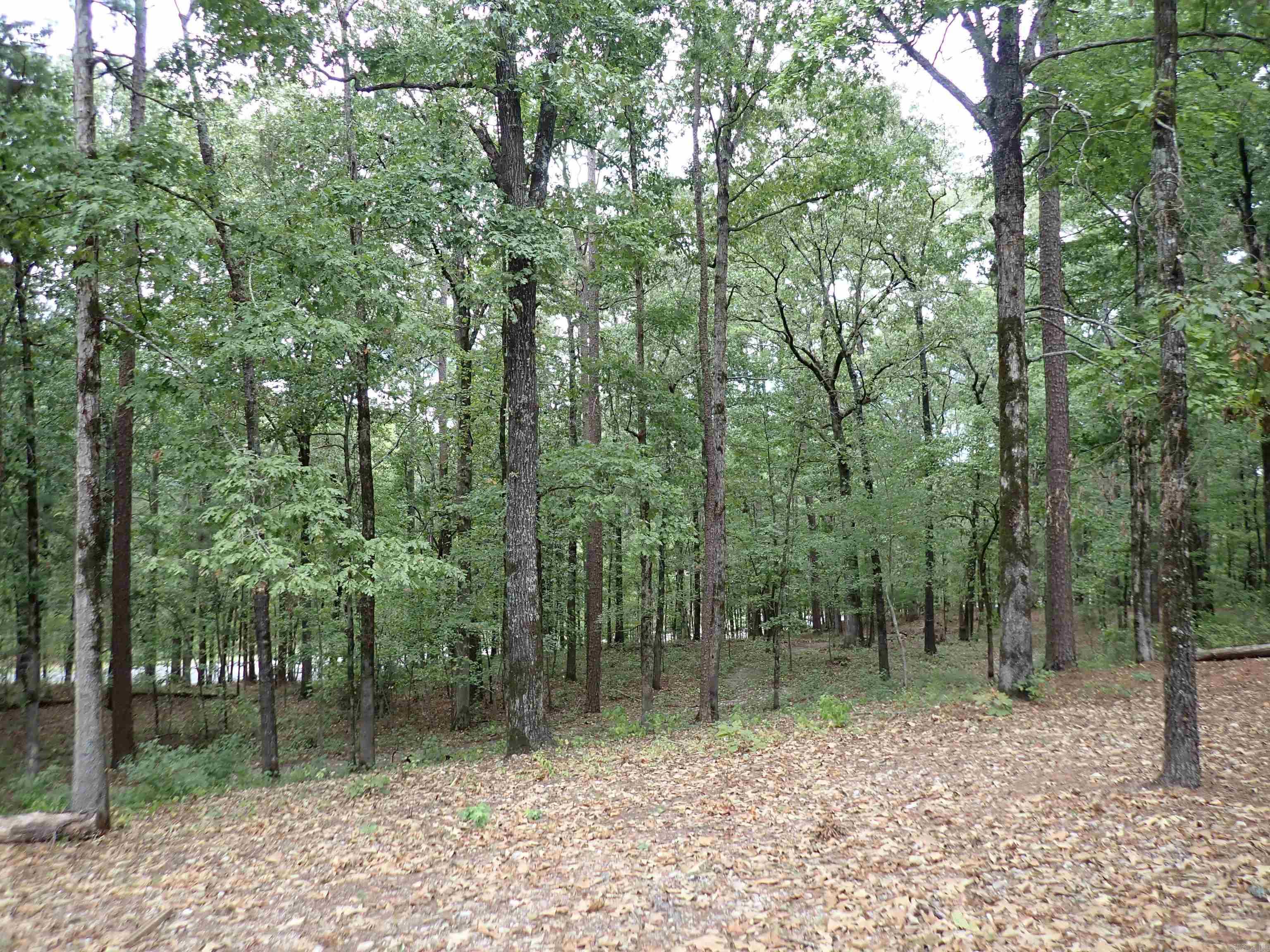 42 Freddie  Caddo Valley, AR