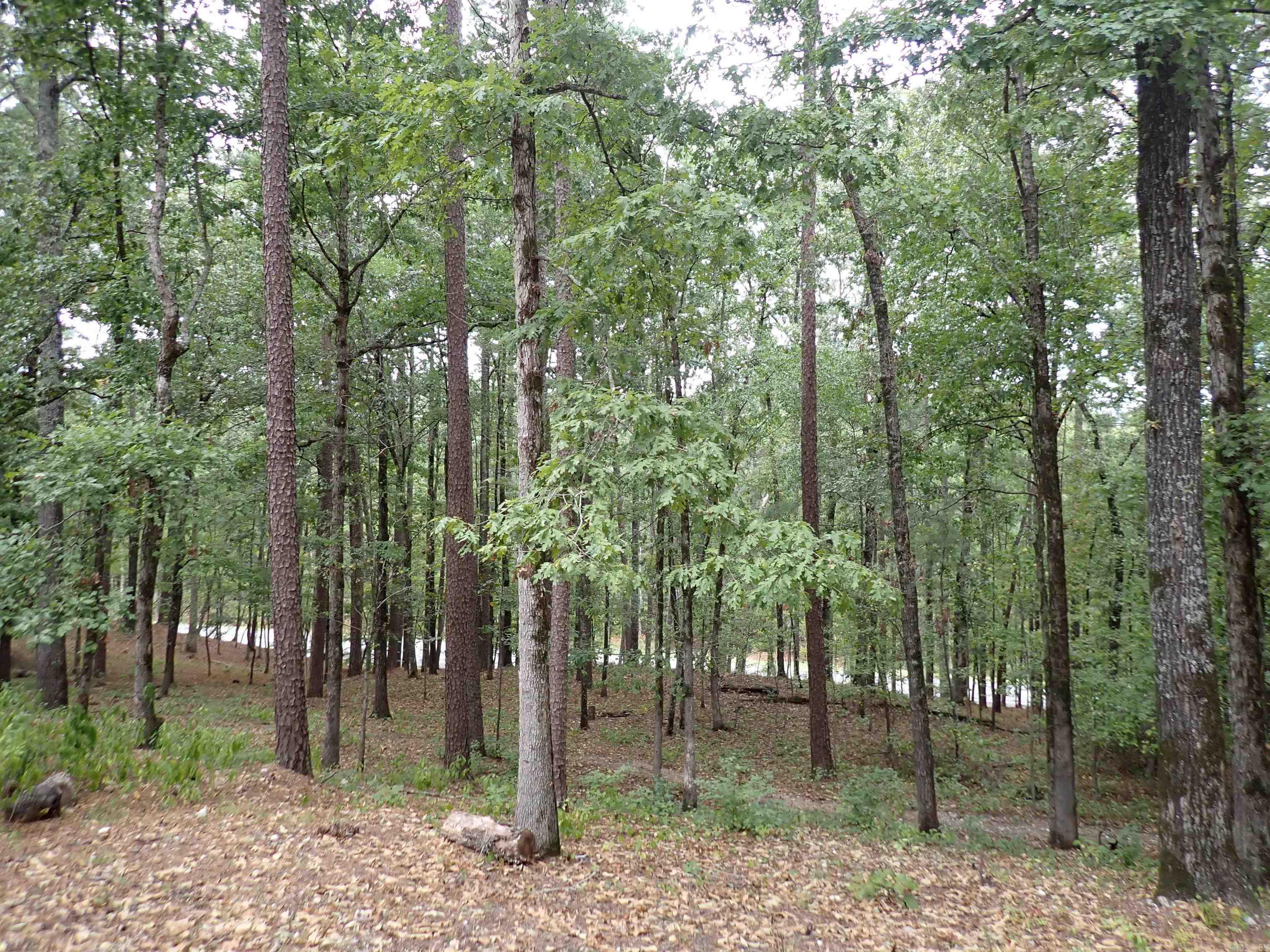 42 Freddie  Caddo Valley, AR