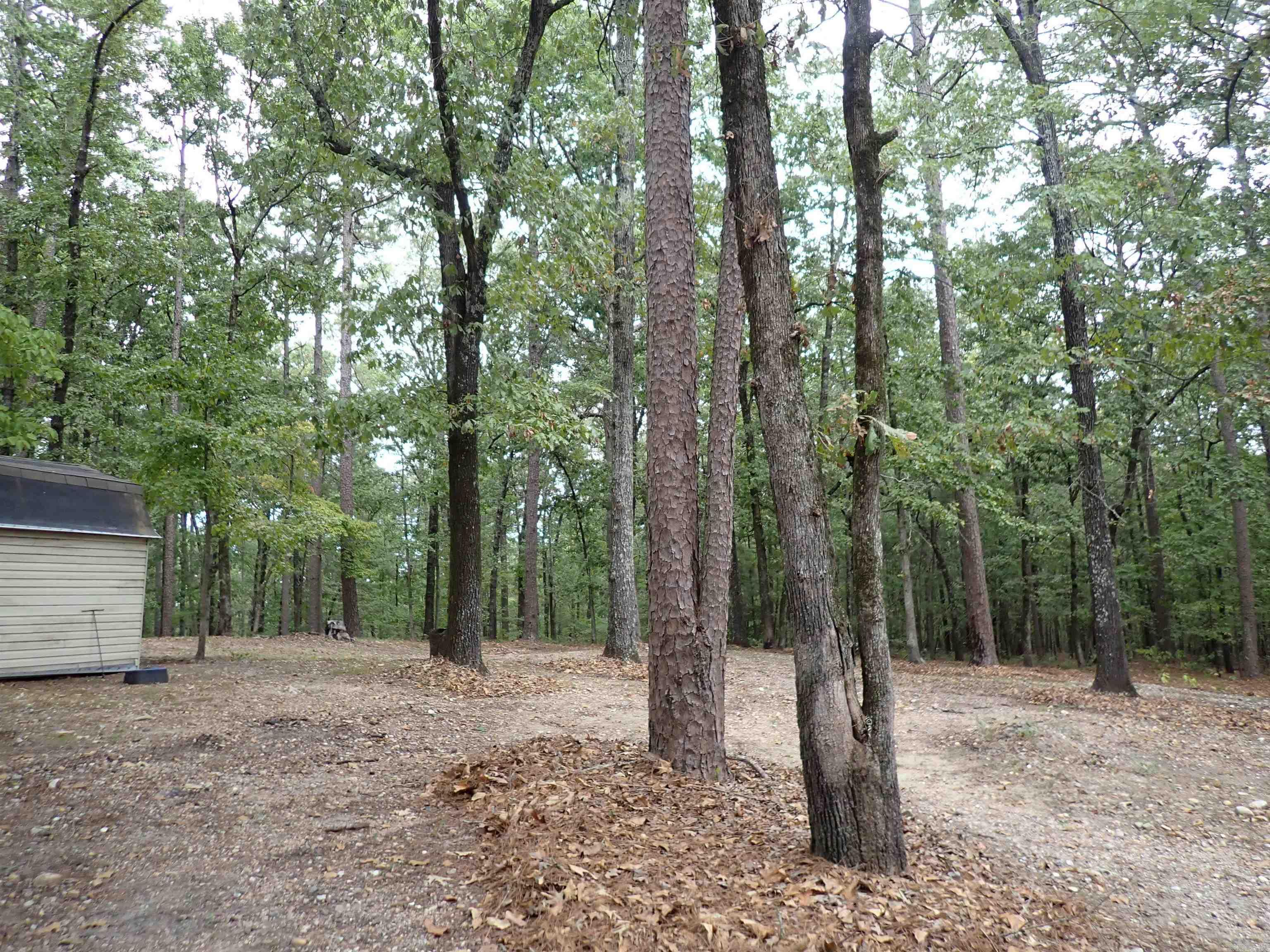 42 Freddie  Caddo Valley, AR