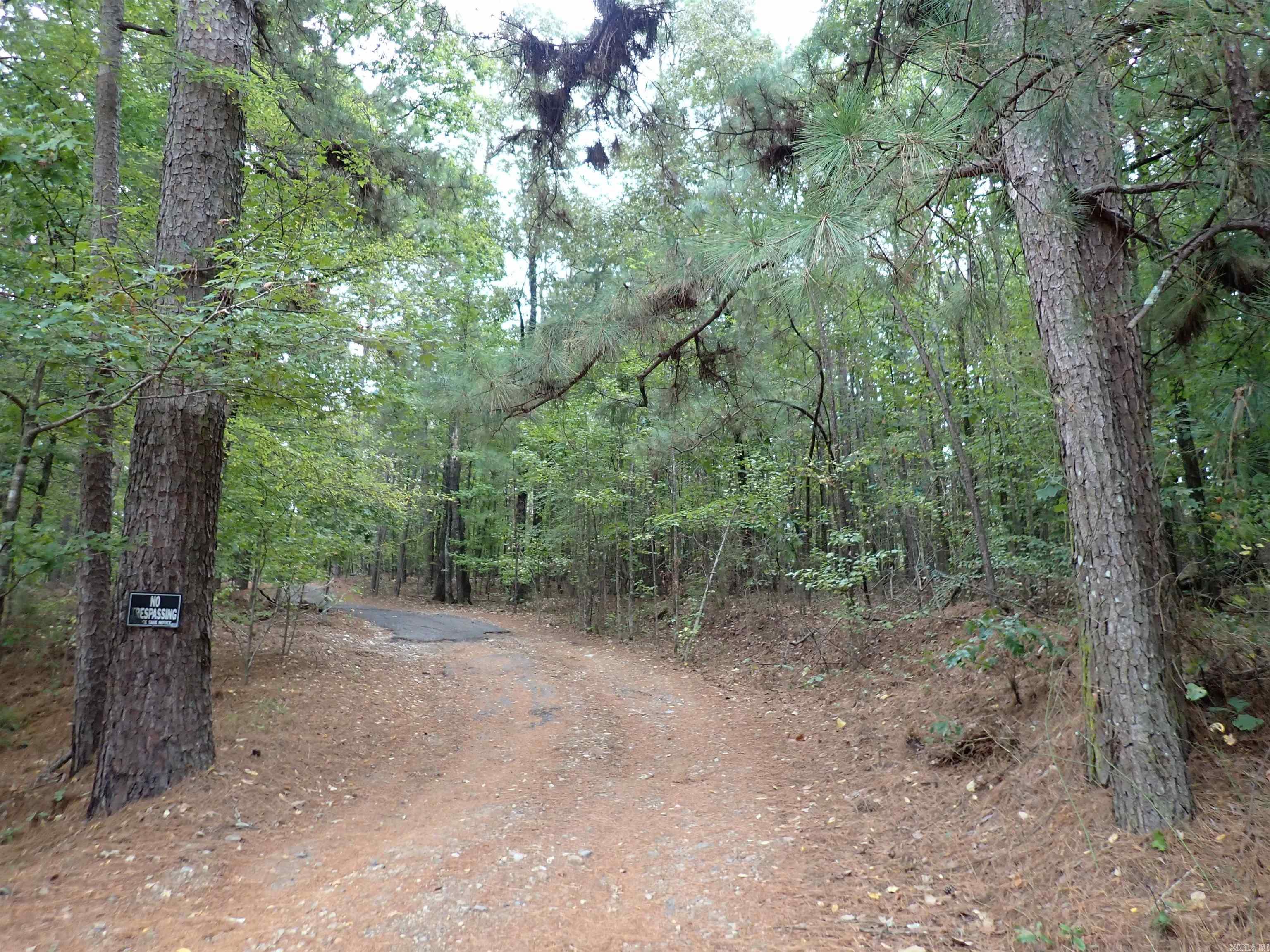 42 Freddie  Caddo Valley, AR