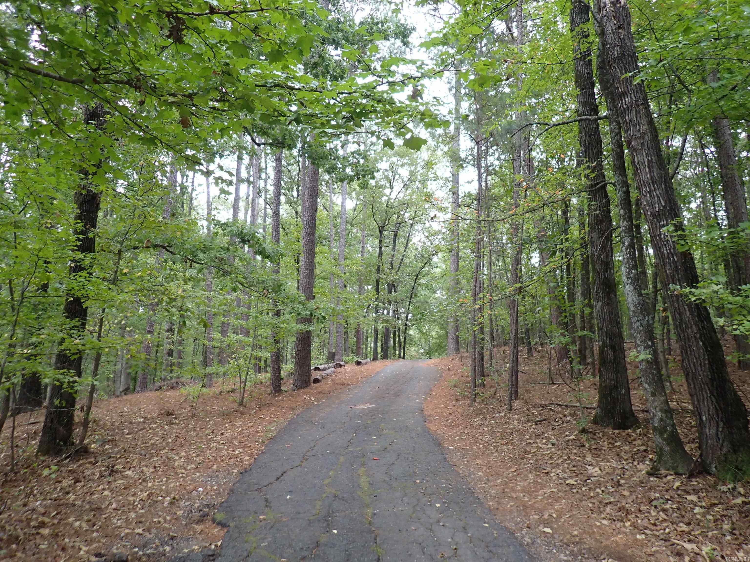 42 Freddie  Caddo Valley, AR