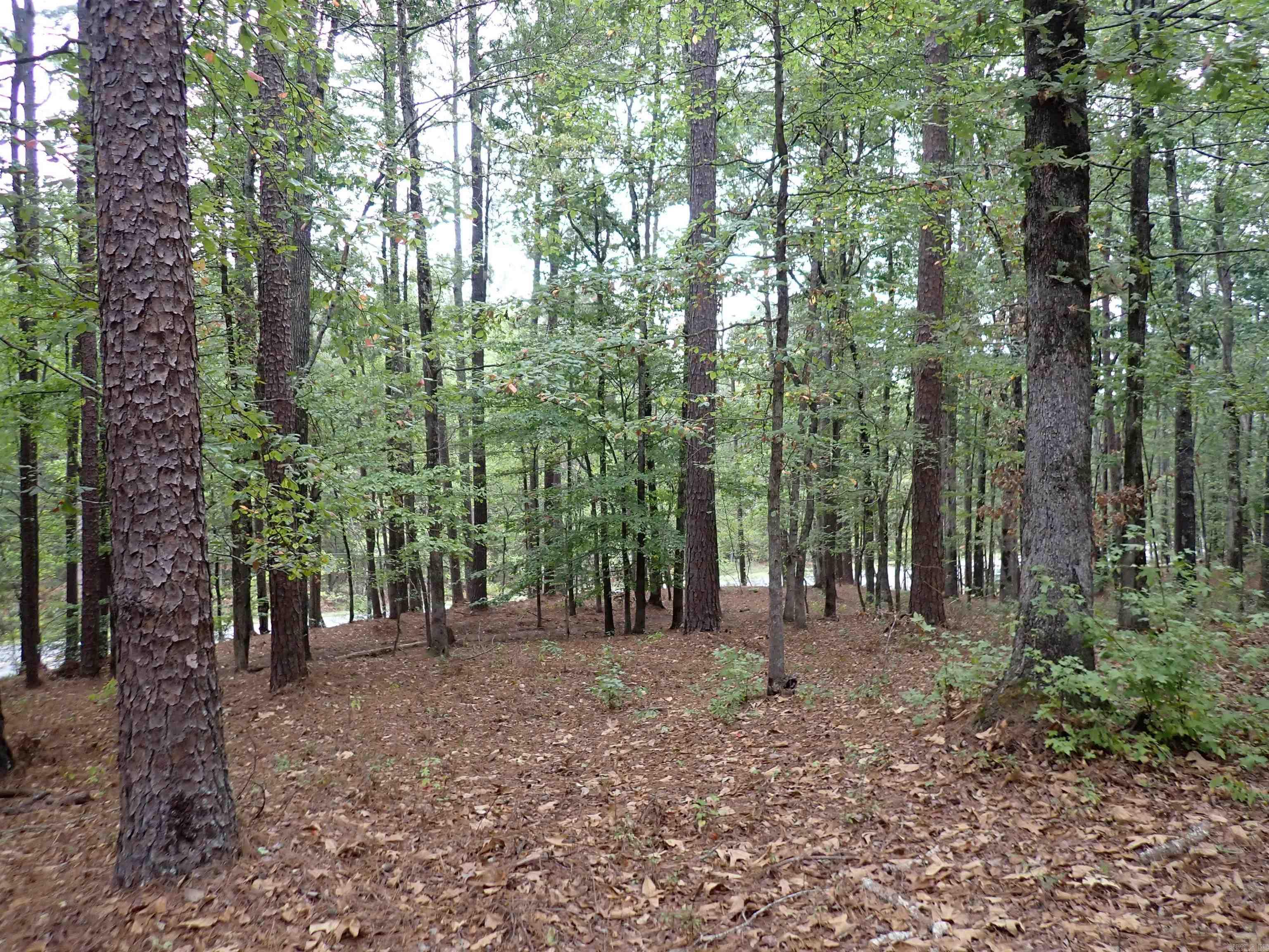 42 Freddie  Caddo Valley, AR