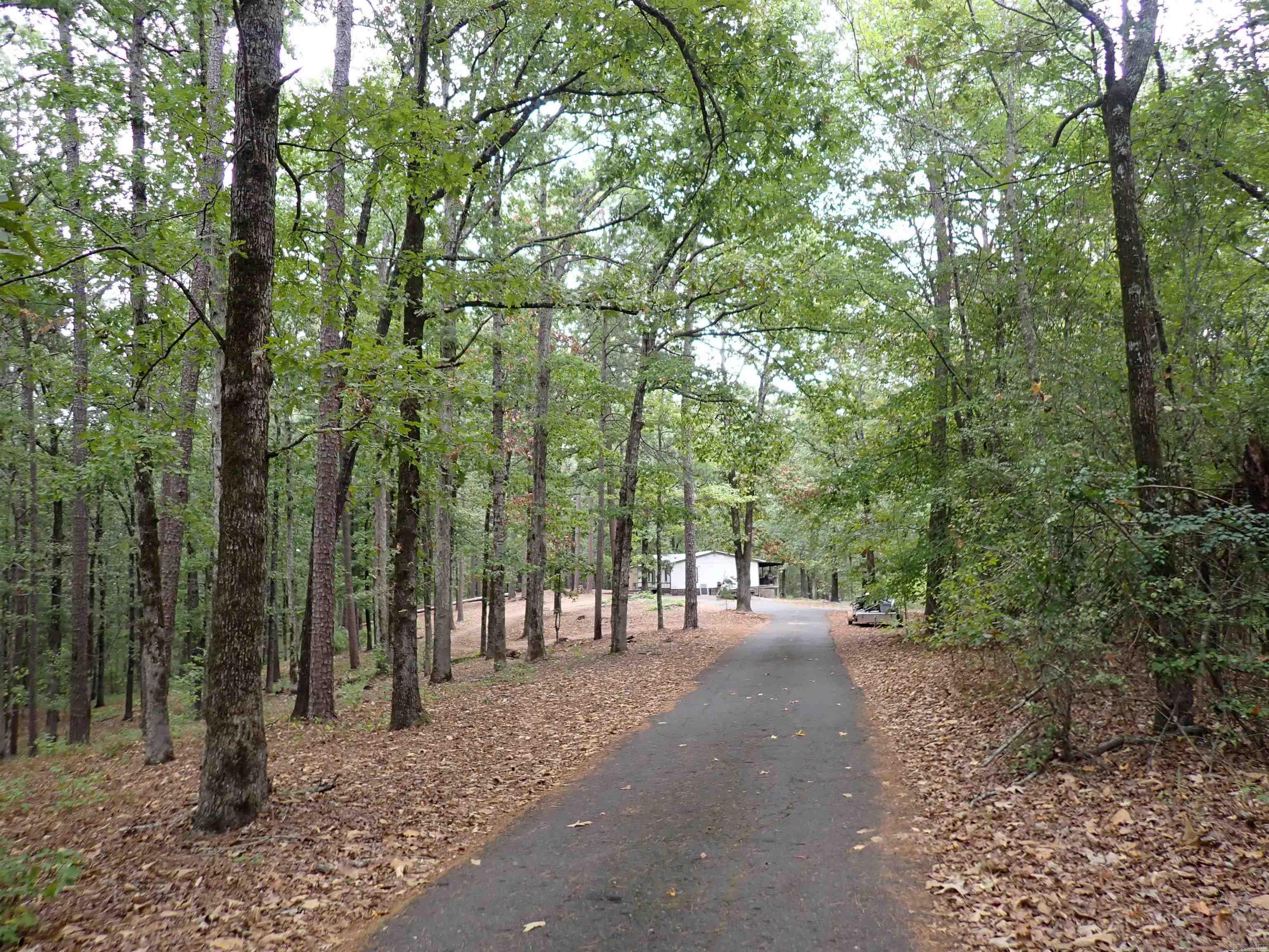 42 Freddie  Caddo Valley, AR