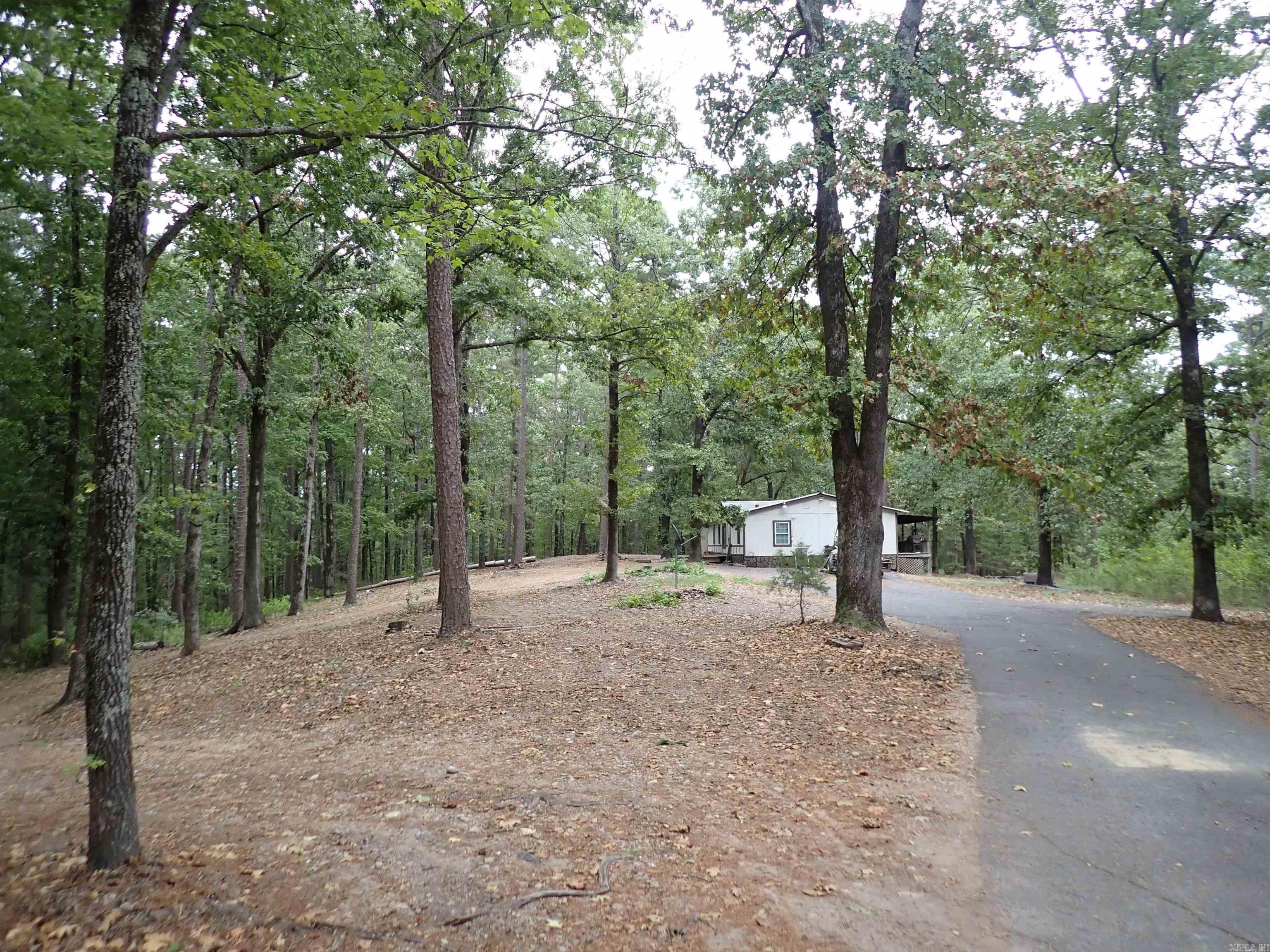 42 Freddie  Caddo Valley, AR