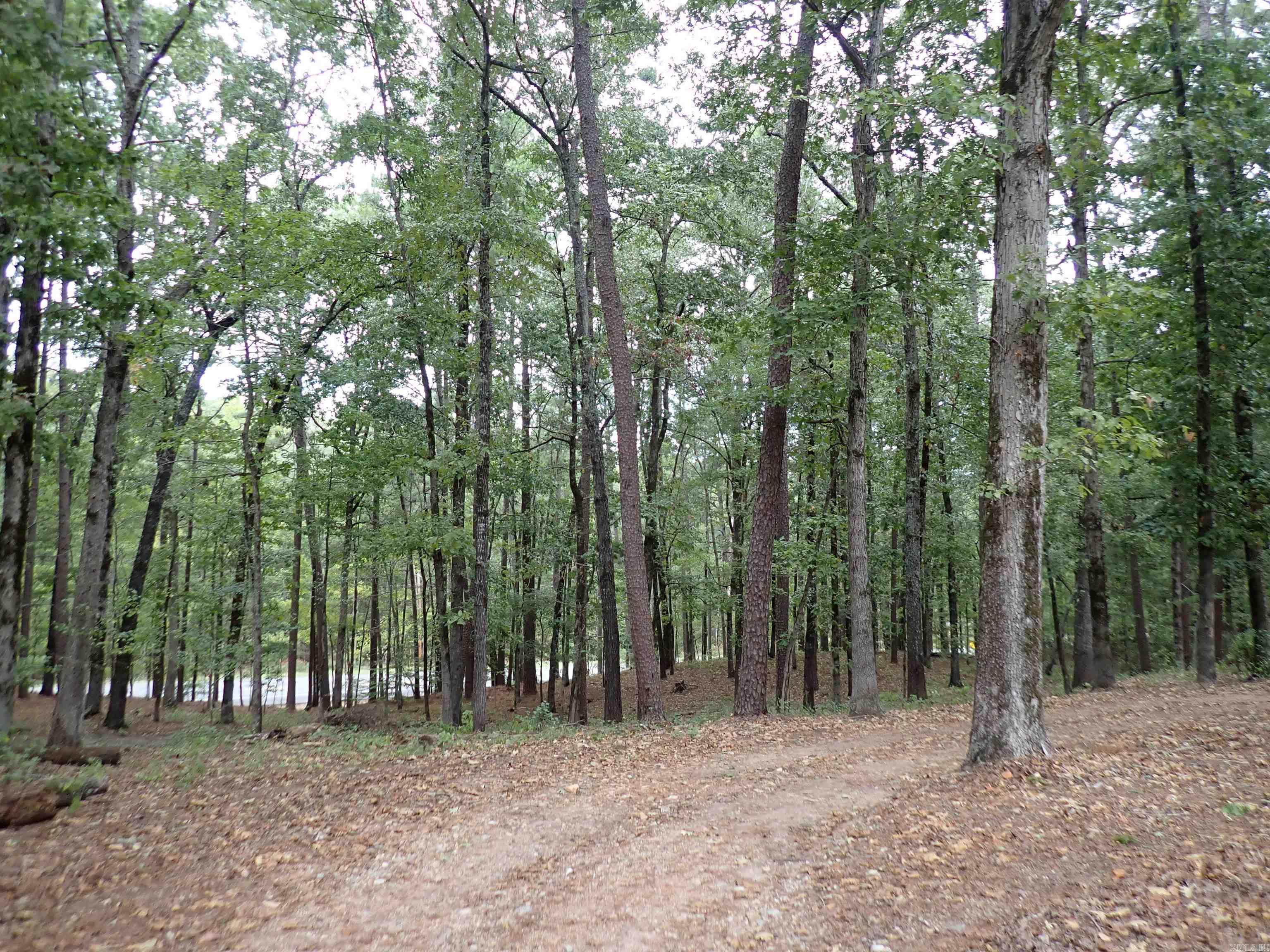 42 Freddie  Caddo Valley, AR
