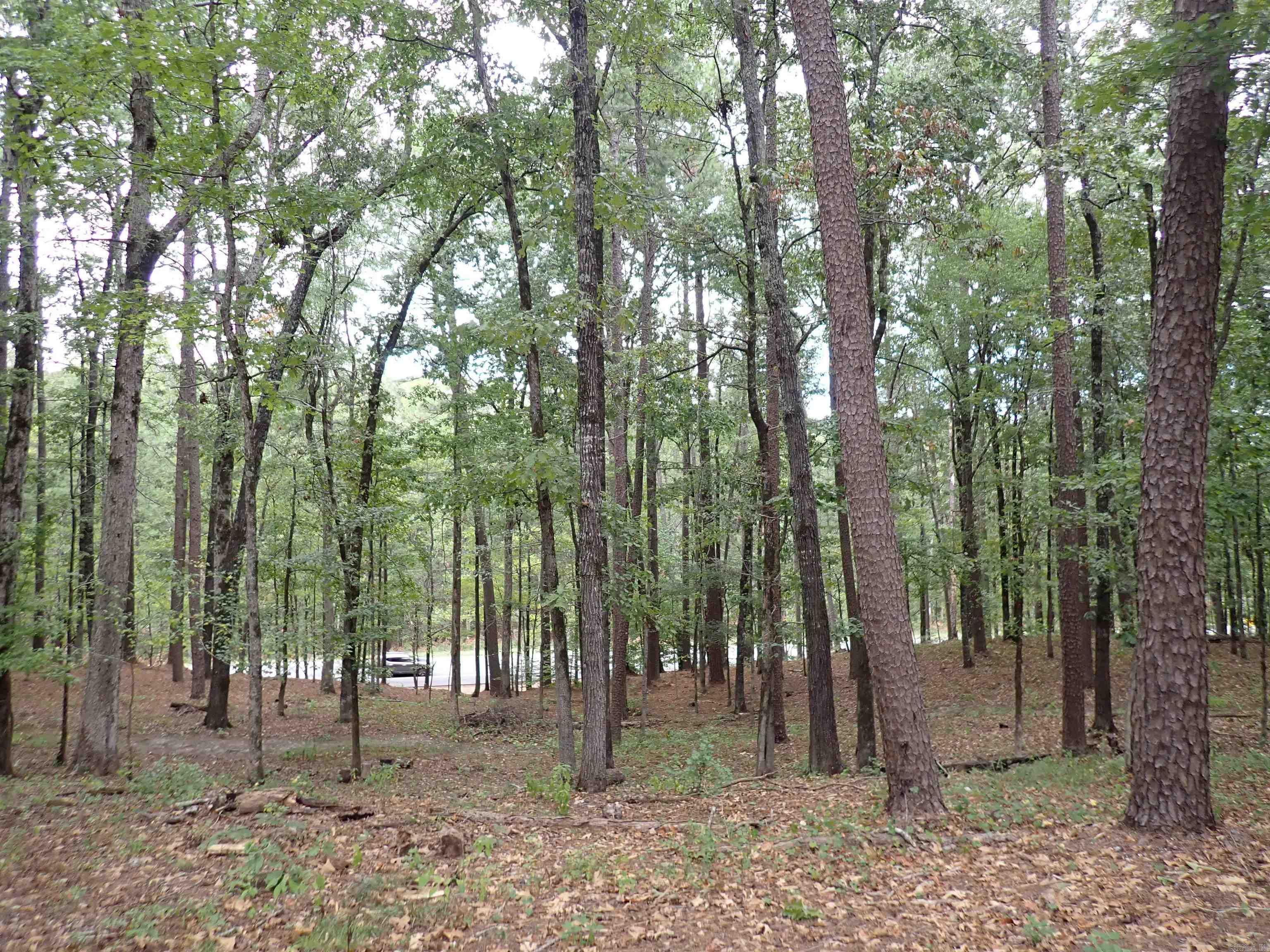 42 Freddie  Caddo Valley, AR