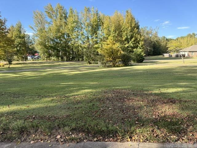 275 Saddle Brook  Austin, AR