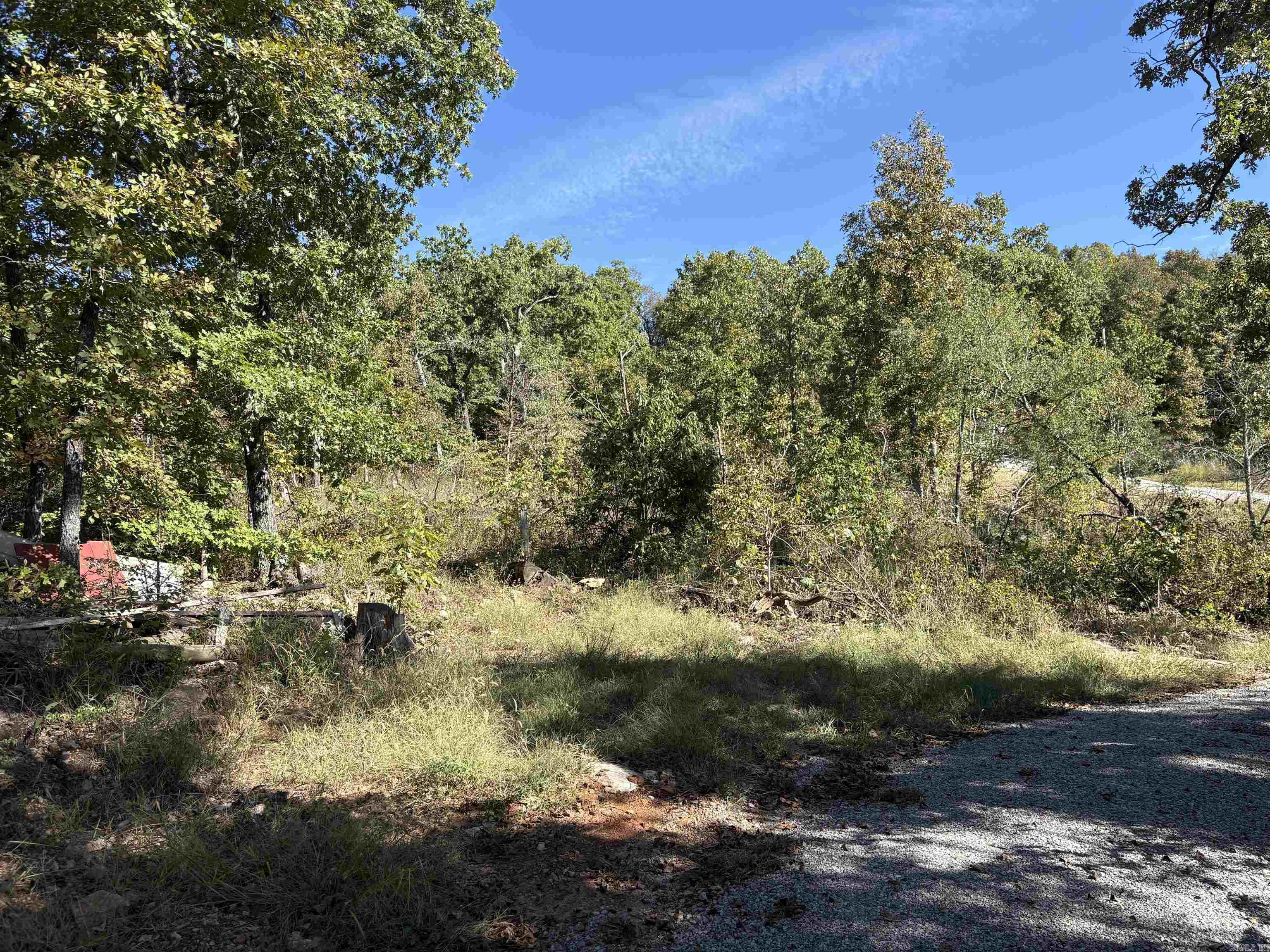 267 Mayfield  Flippin, AR