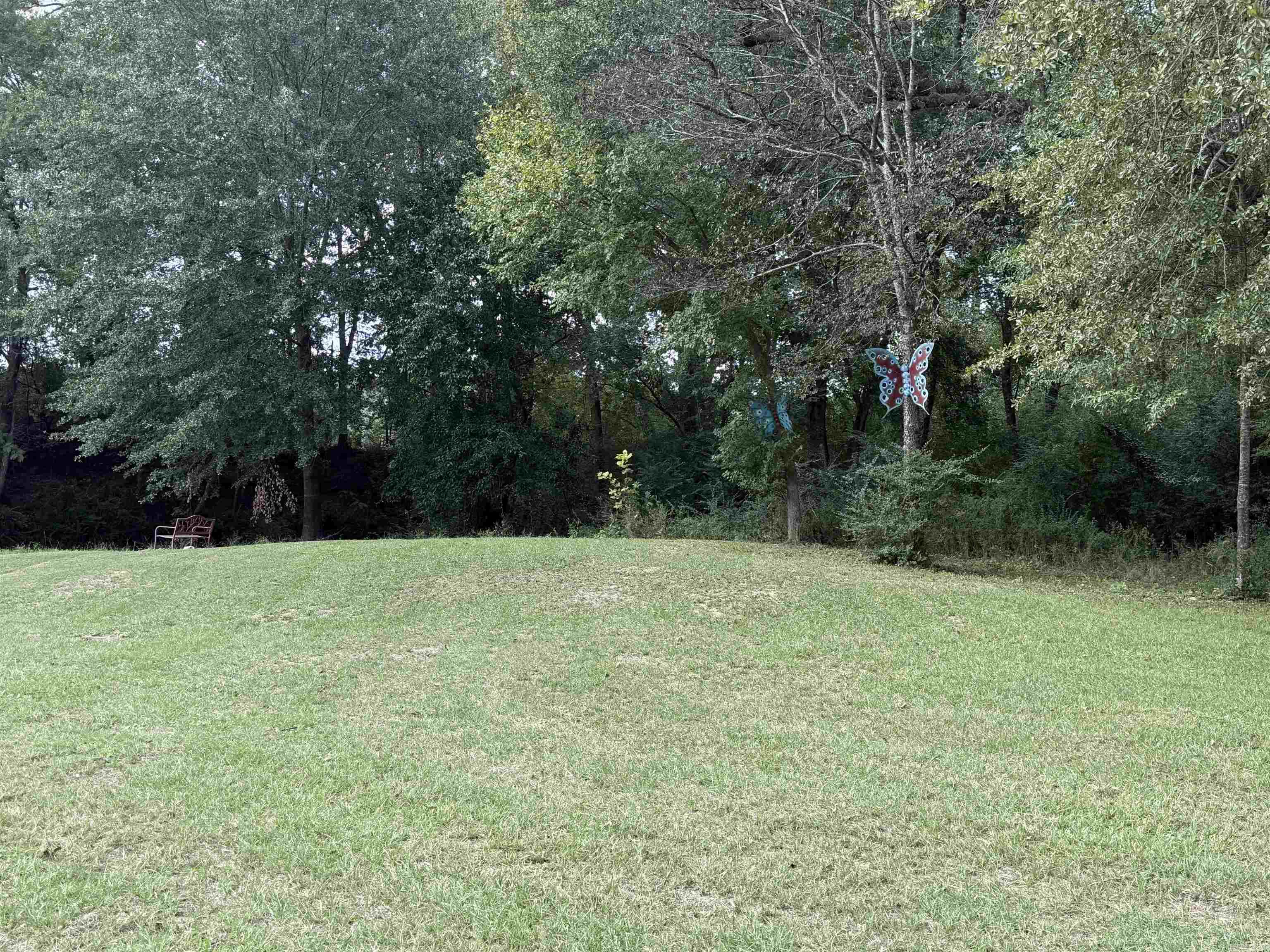 409 E 13th Street Murfreesboro, AR 71958