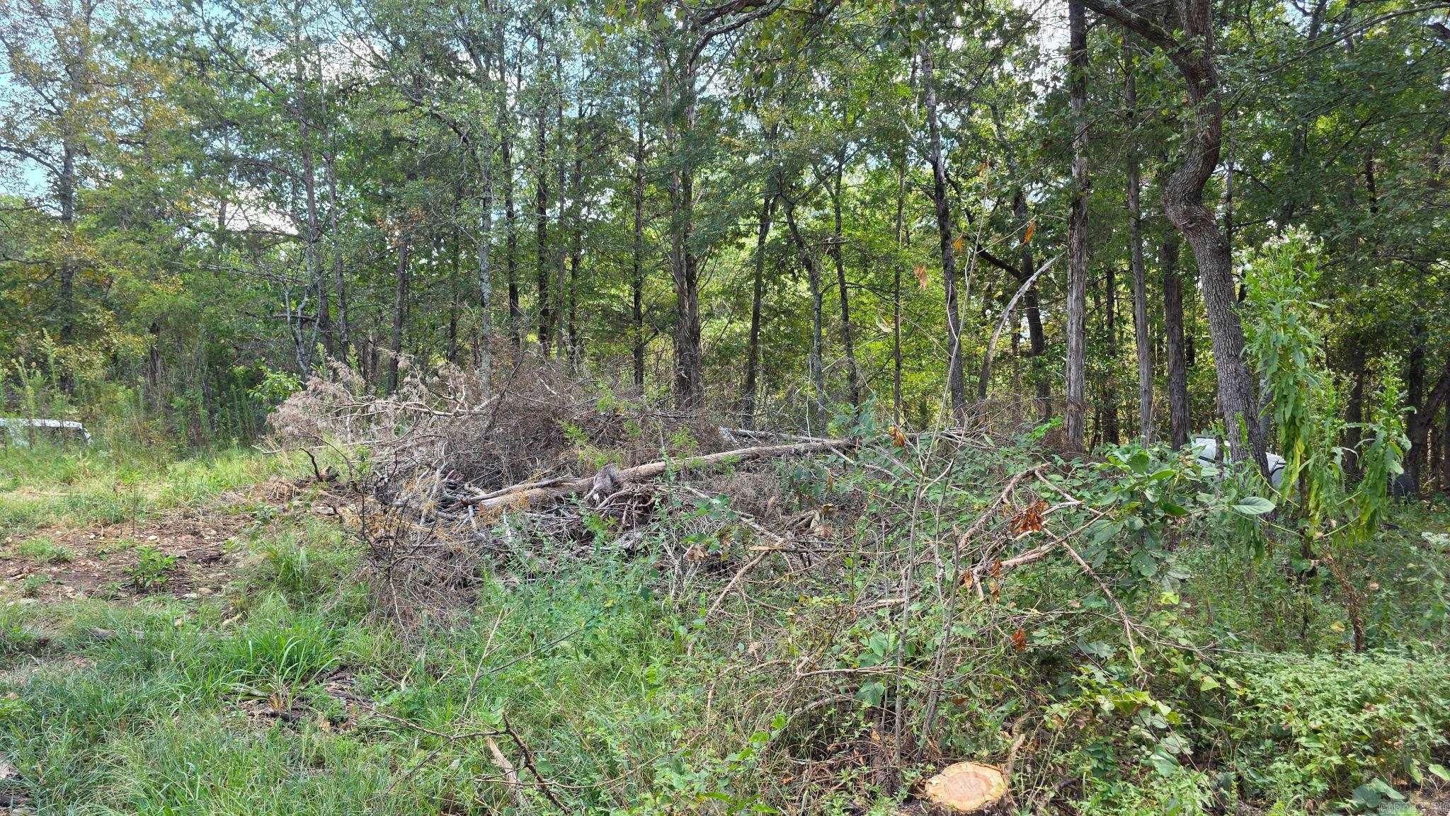 630 Mountain Creek Trail Oakland, AR 72661