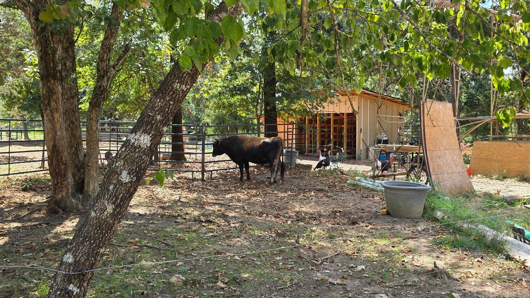 630 Mountain Creek Trail Oakland, AR 72661