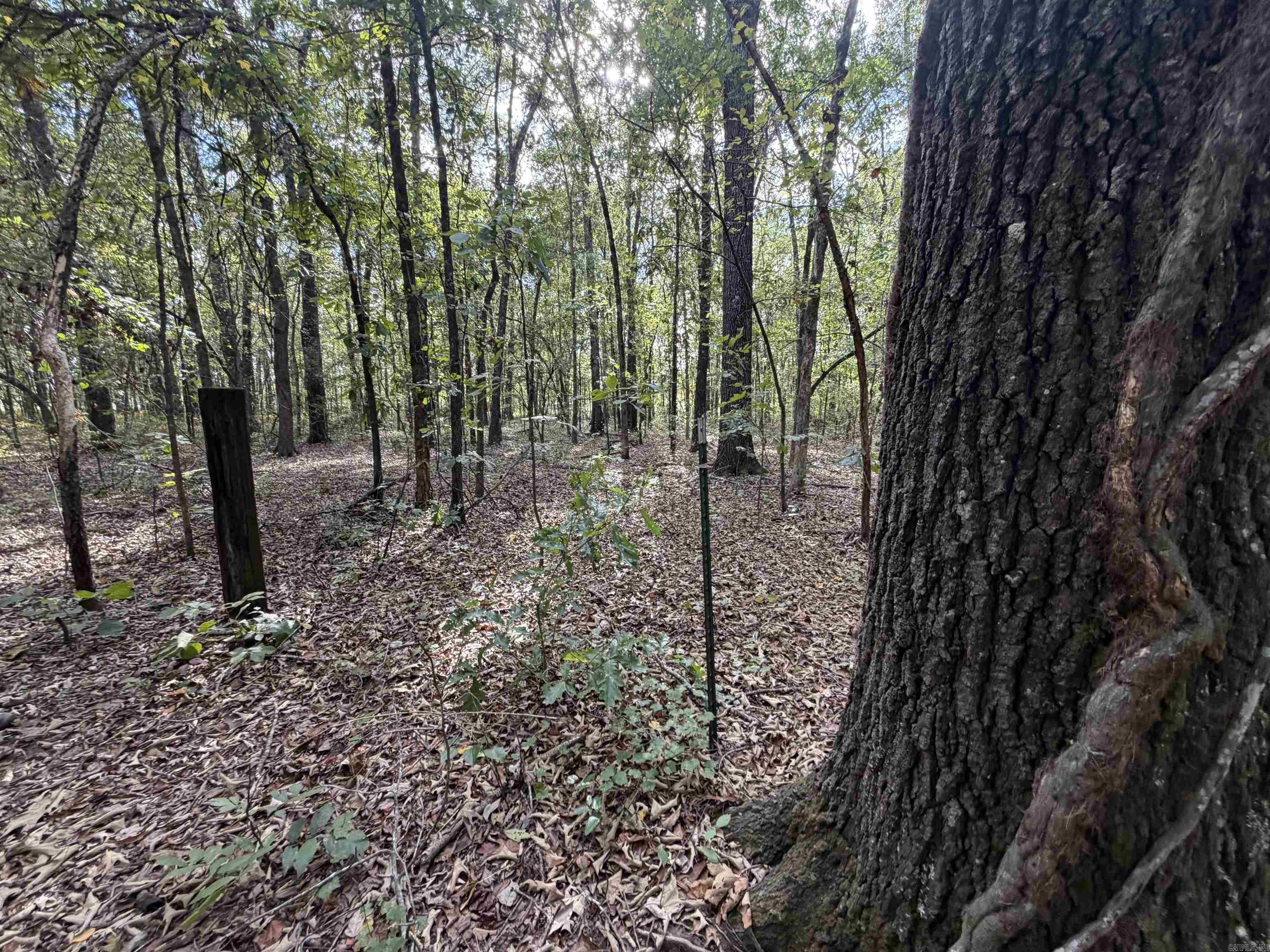 16541 Highway 31 N  Ward, AR