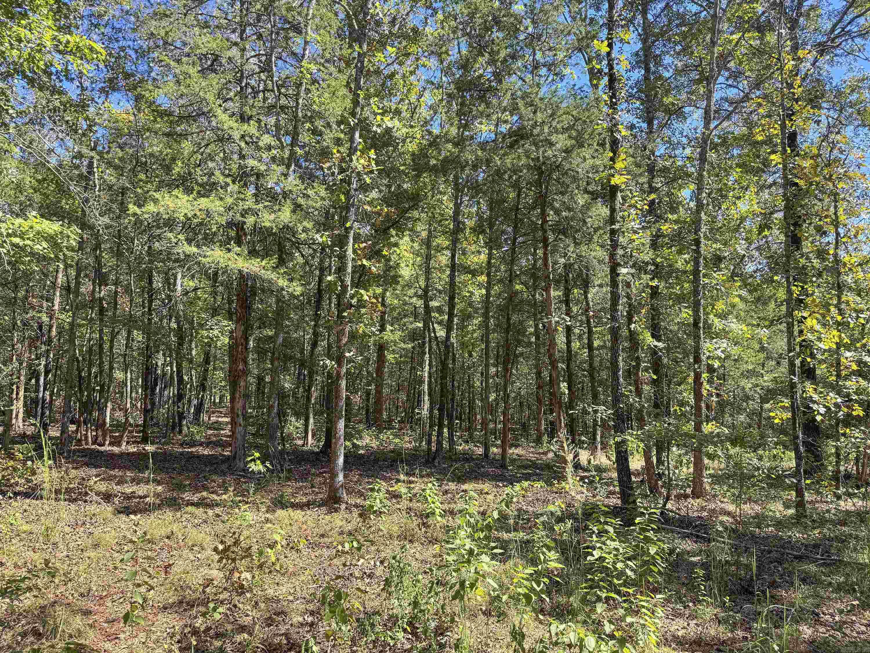 80 Landrum  Quitman, AR